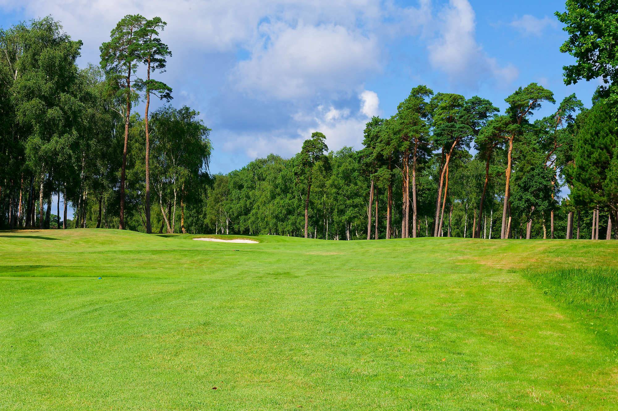 Barsebaeck Pine Course Bahn 10-18 MZ6 _0417_DxO