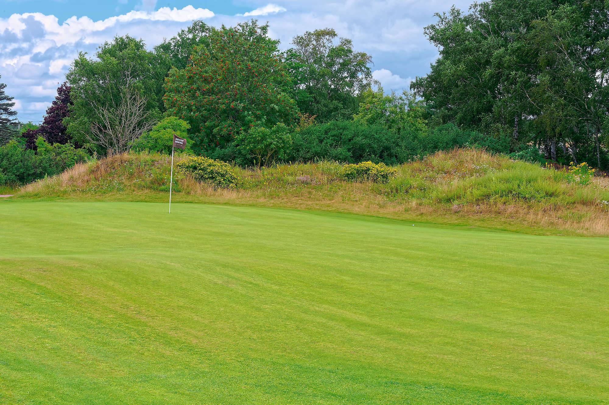 Halmstad Golfarena Golfbana MZ6 _0589_DxO