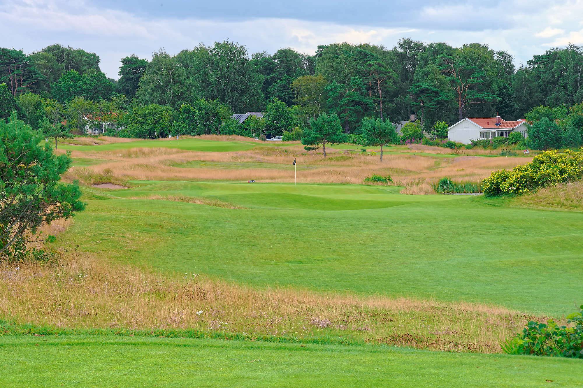 Halmstad Golfarena Golfbana MZ6 _0590_DxO