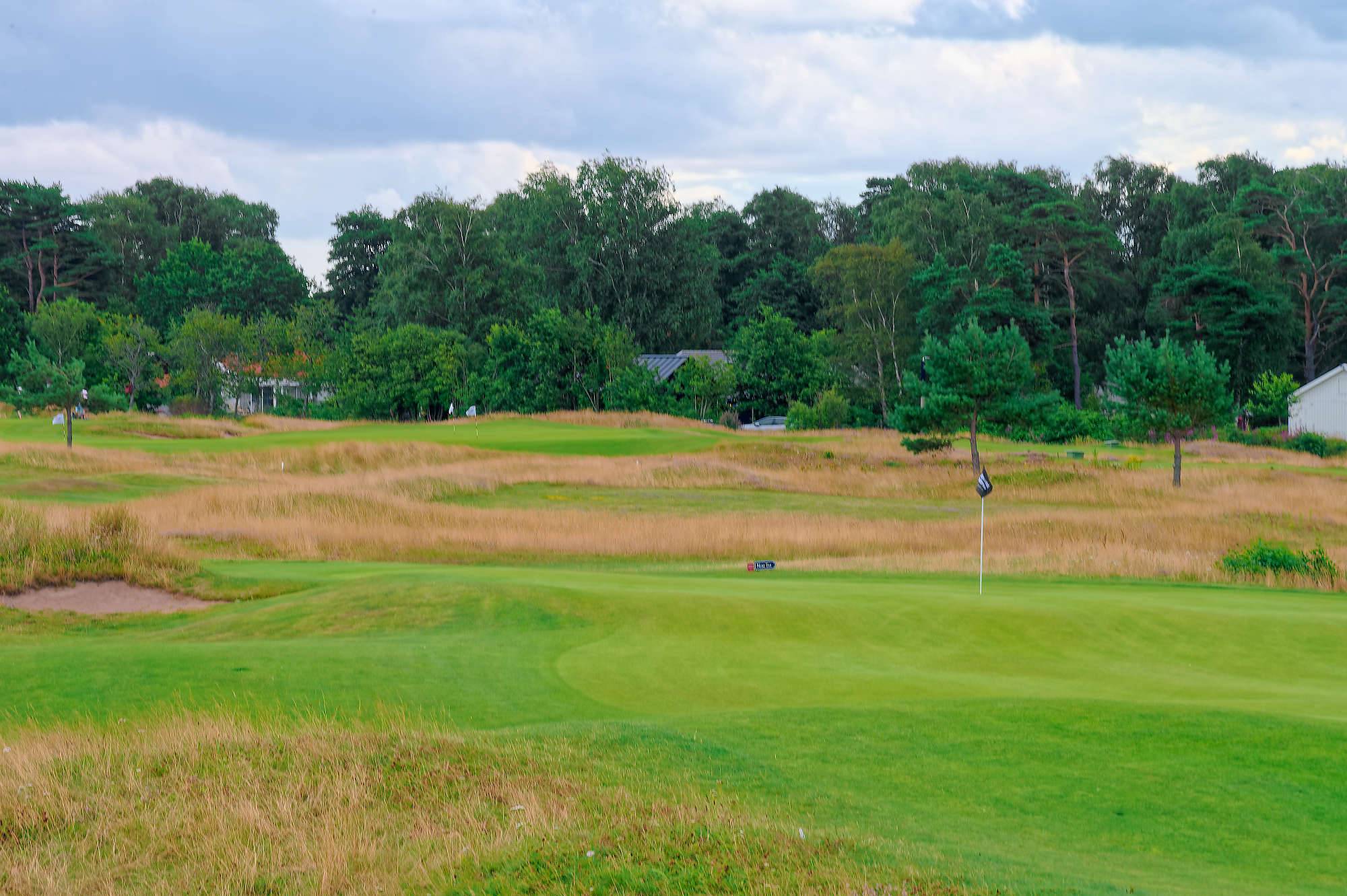 Halmstad Golfarena Golfbana MZ6 _0594_DxO