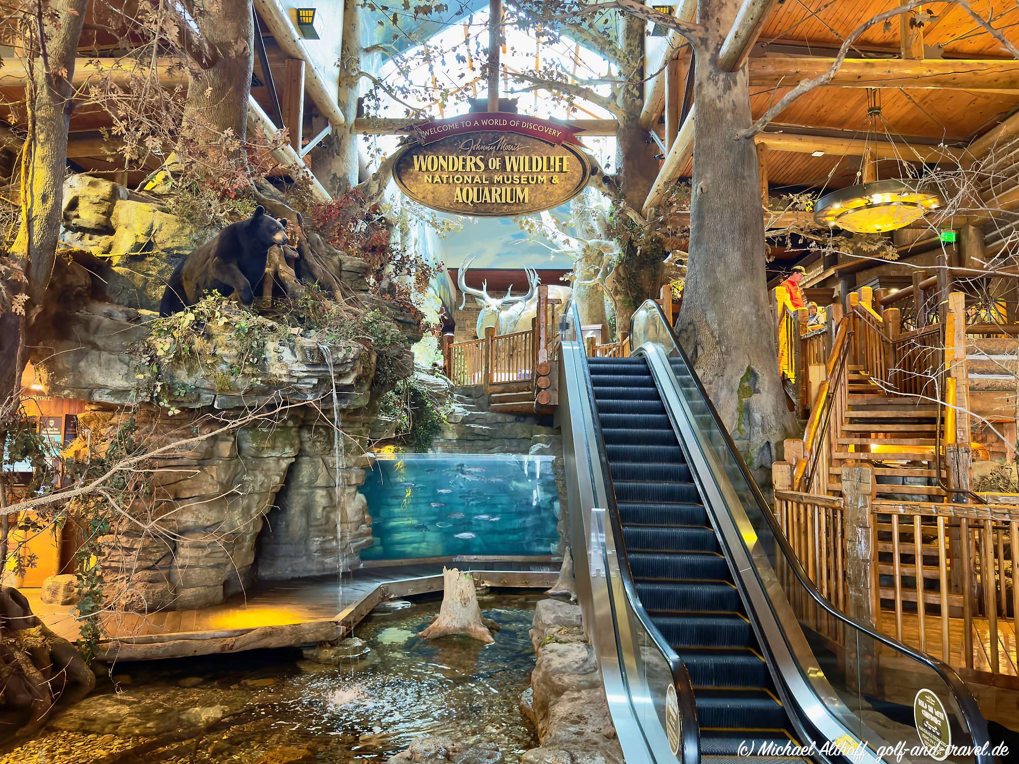 Bass Pro Shops Fotos IMG _2139_DxO