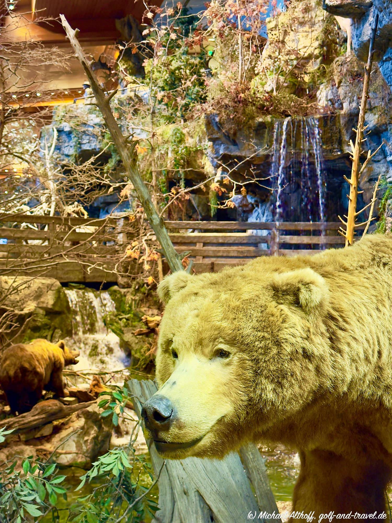 Bass Pro Shops Fotos IMG _2151_DxO