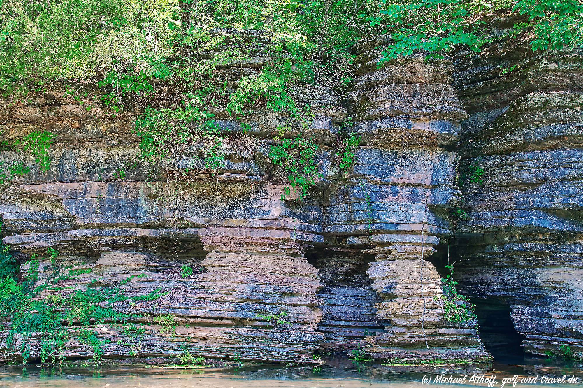 Dogwood Canyon Fotos MZ6 _1075_DxO