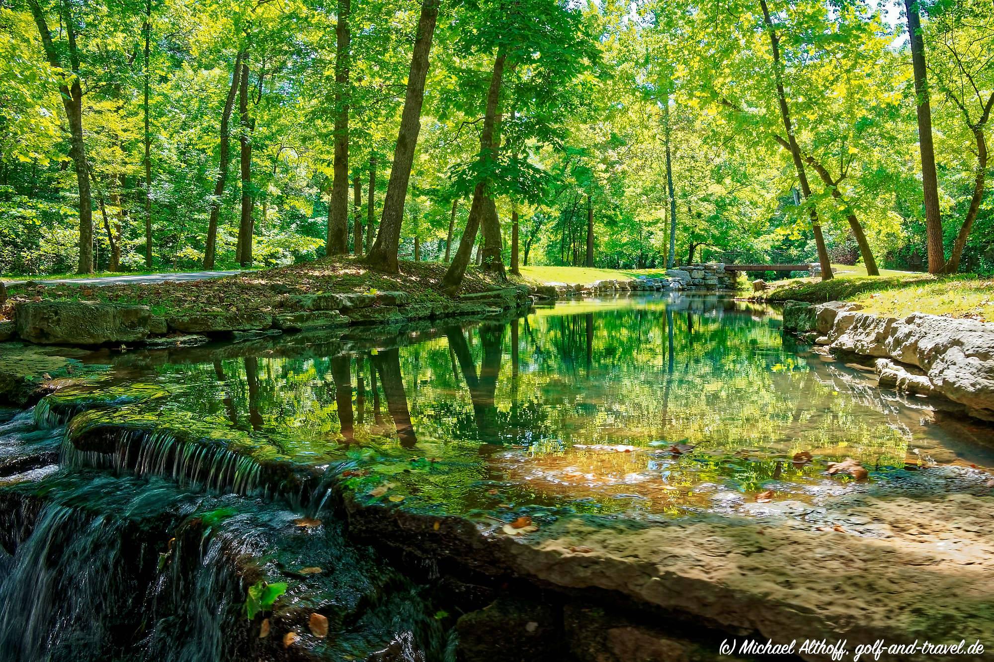 Dogwood Canyon Fotos MZ6 _1138_DxO