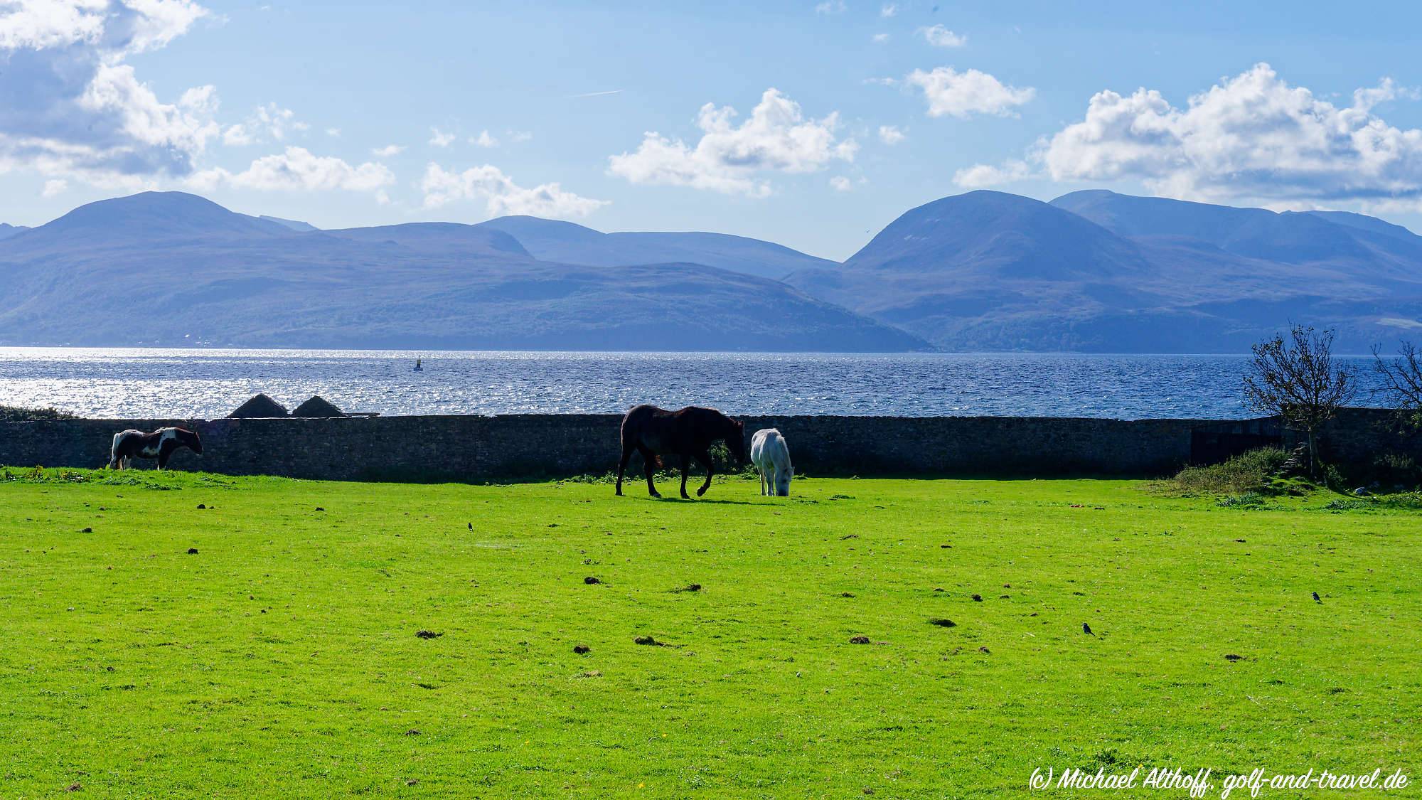 Skipness Seafood MZ6 _3048_DxO