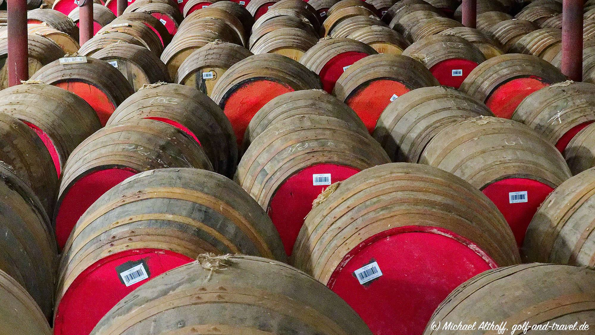 Tomatin MZ6 _2961_DxO