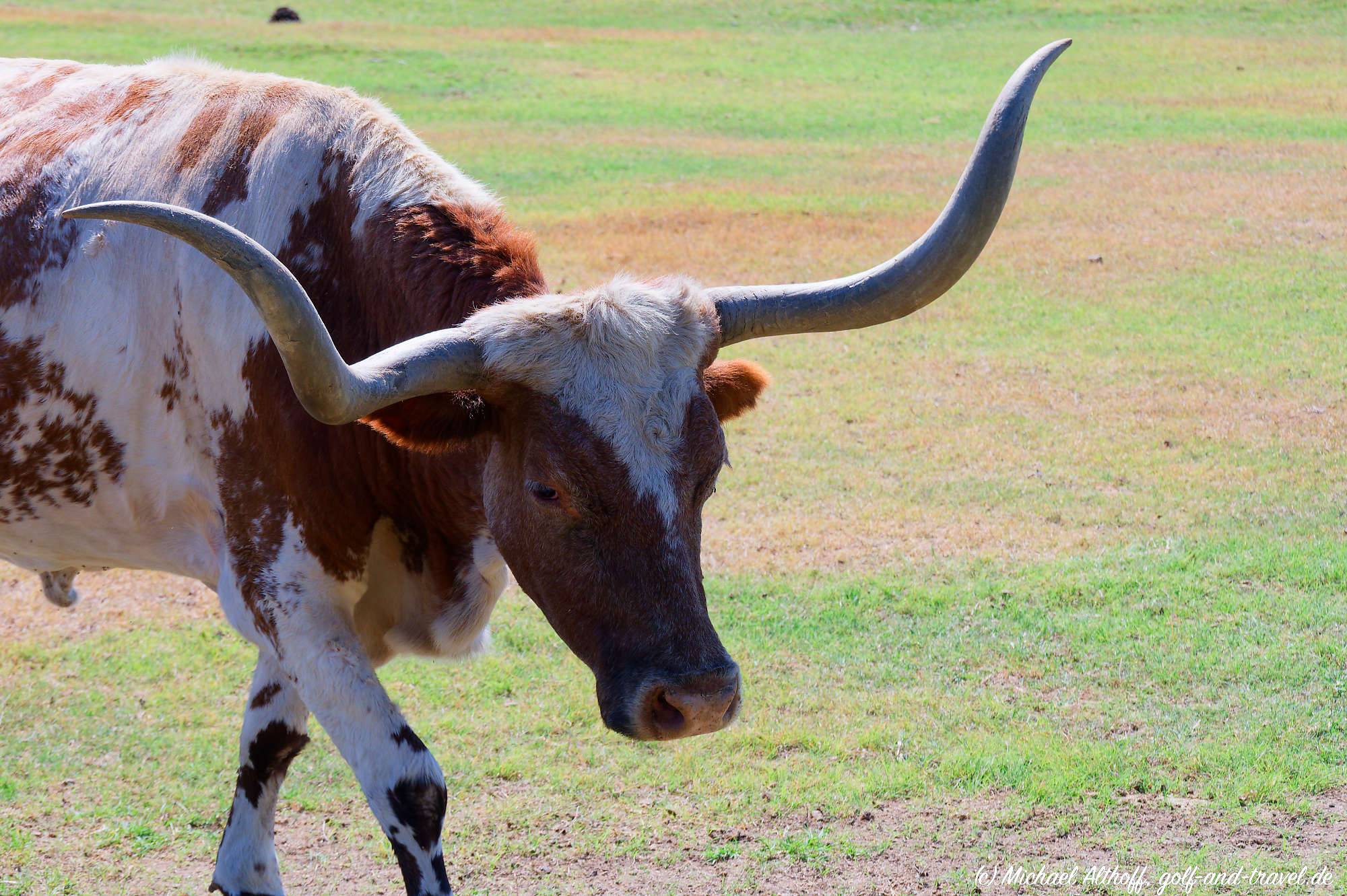 Fotos Southfork Ranch MZ6 _4367_DxO
