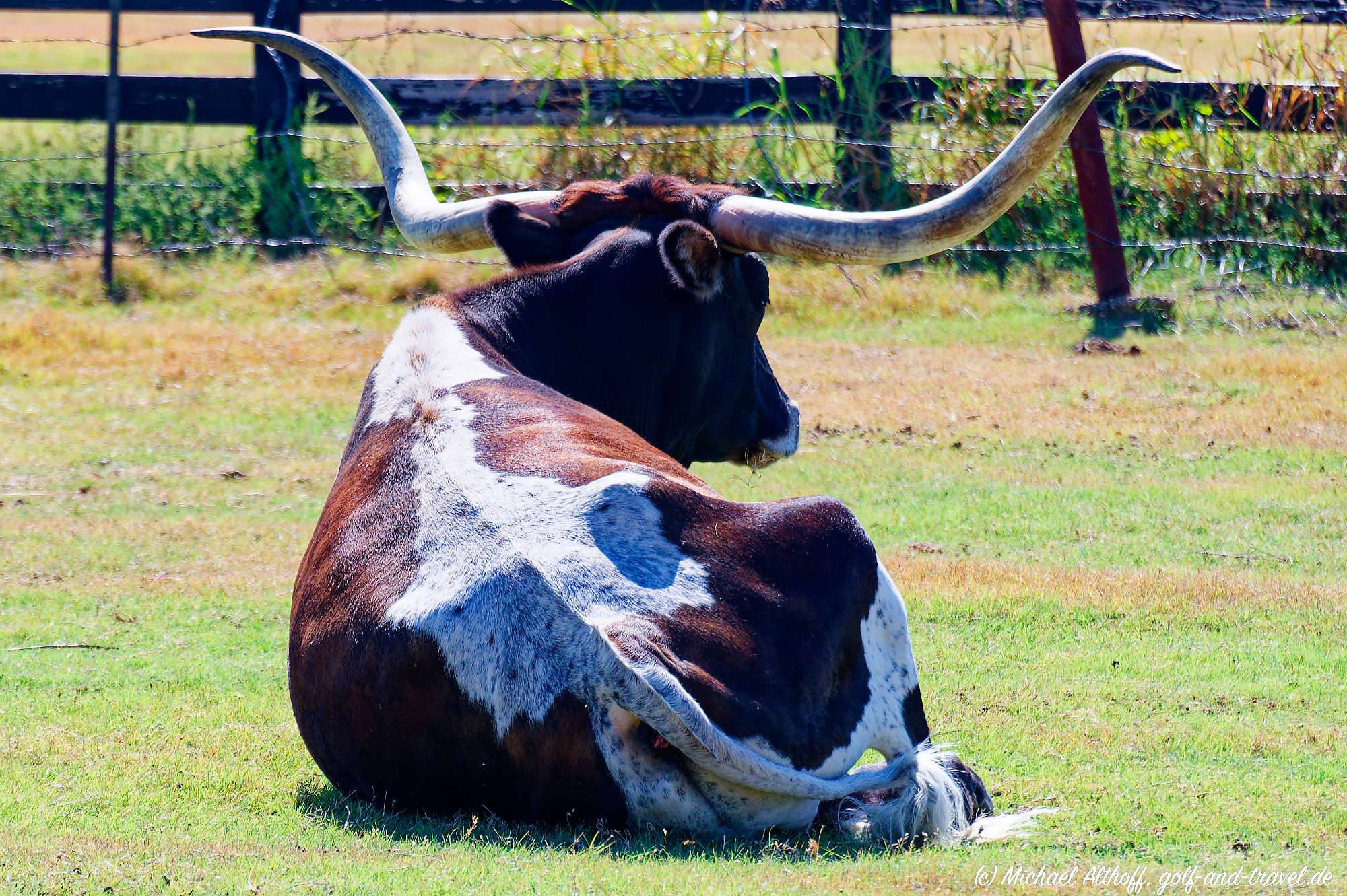 Fotos Southfork Ranch MZ6 _4372_DxO