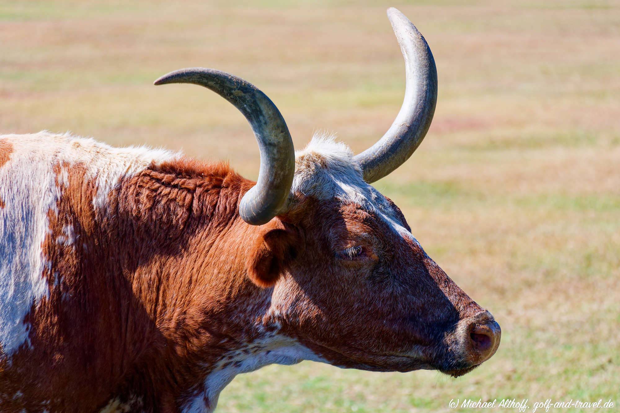 Fotos Southfork Ranch MZ6 _4376_DxO