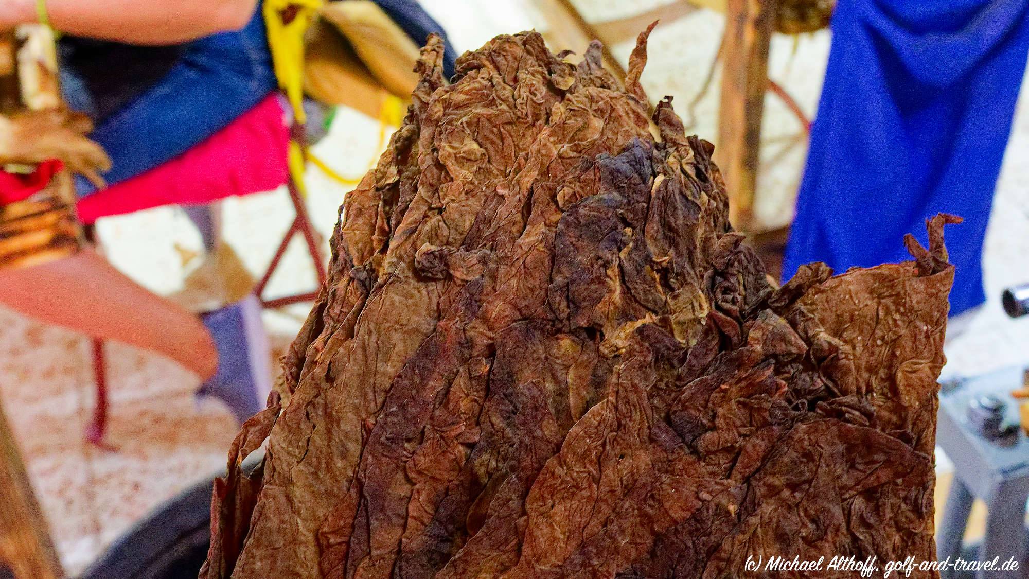 Fotos Tabacalera Cremo MZ6 _6015_DxO