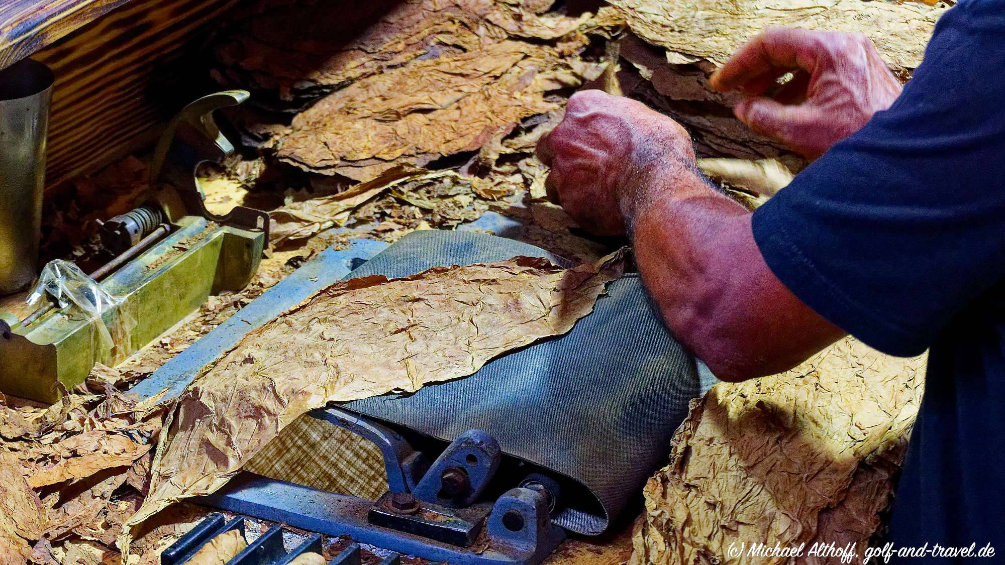 Fotos Tabacalera Cremo MZ6 _6016_DxO