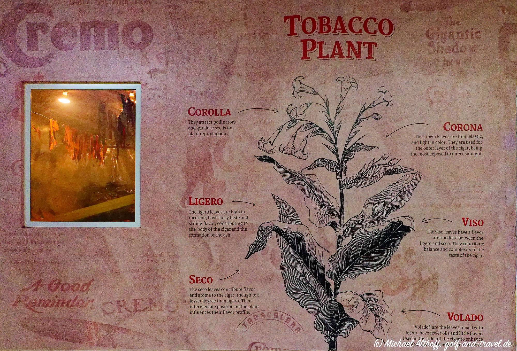 Fotos Tabacalera Cremo MZ6 _6023_DxO