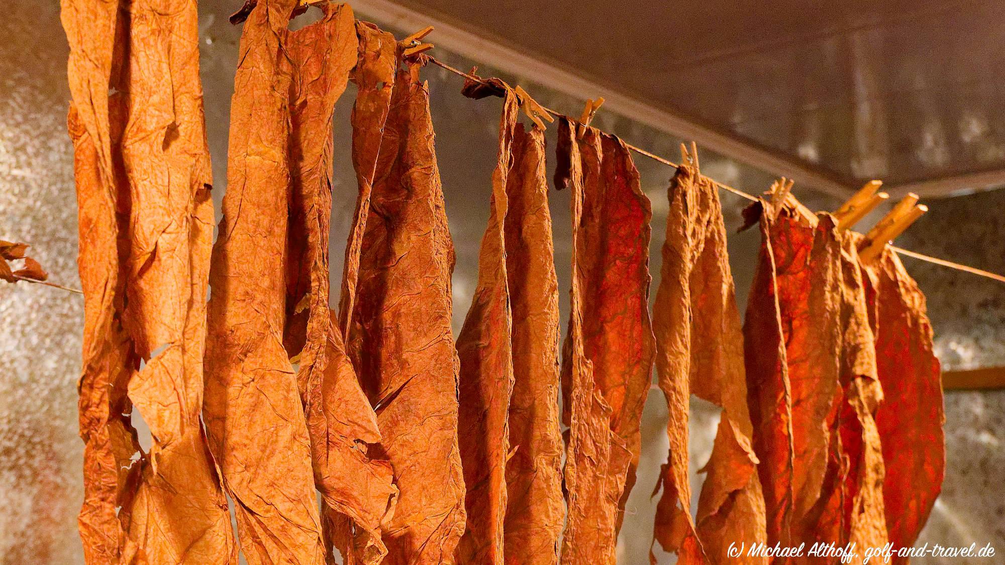 Fotos Tabacalera Cremo MZ6 _6024_DxO