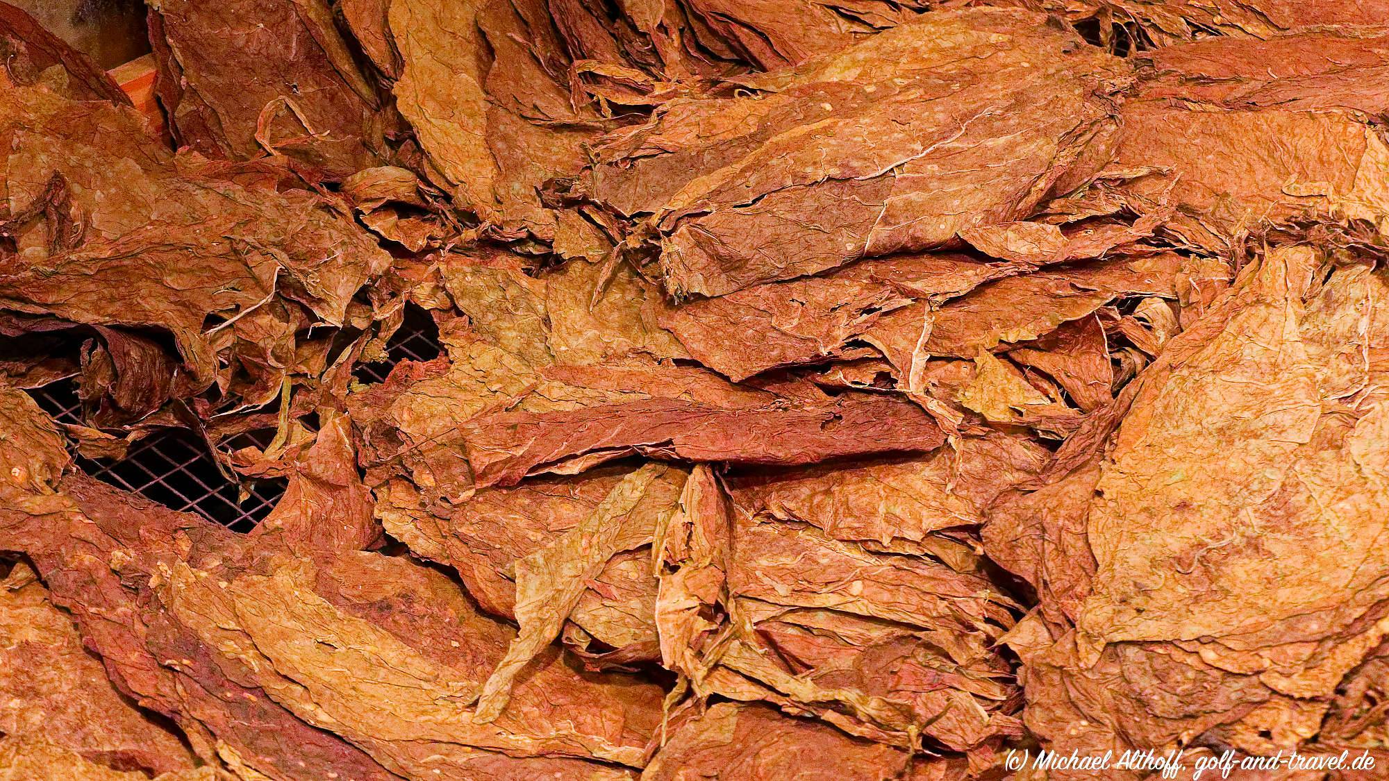 Fotos Tabacalera Cremo MZ6 _6025_DxO