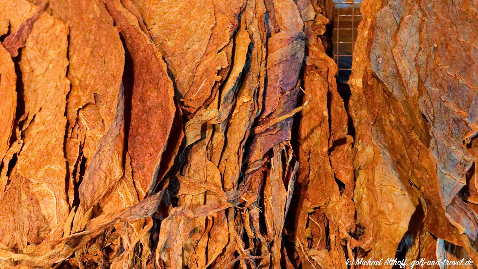 Fotos Tabacalera Cremo MZ6 _6026_DxO