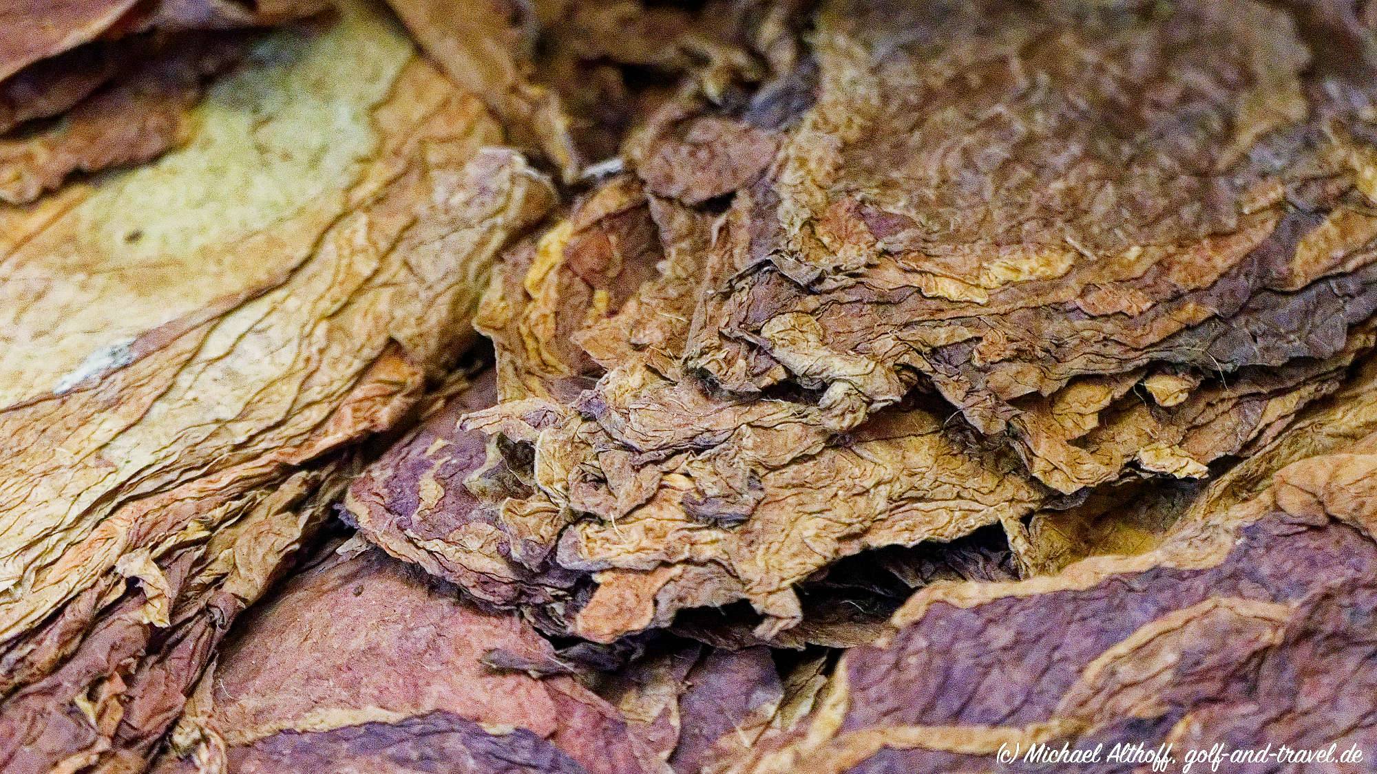 Fotos Tabacalera Cremo MZ6 _6031_DxO