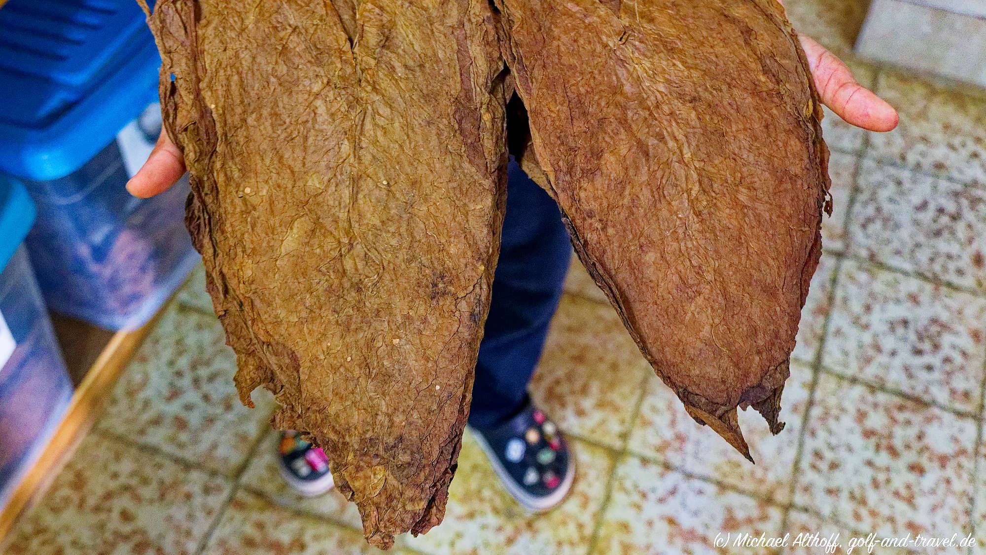 Fotos Tabacalera Cremo MZ6 _6033_DxO