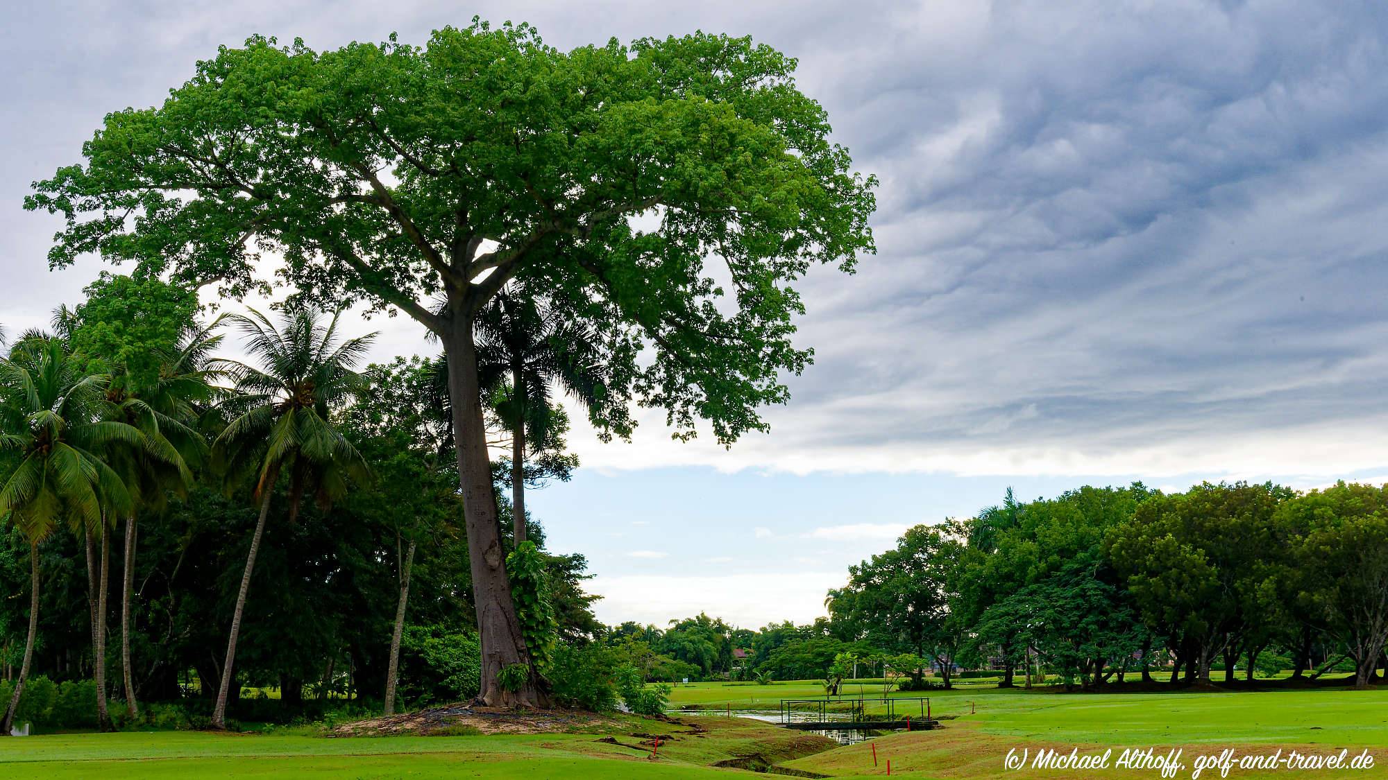 Playa Dorada Bahn 1-9 MZ6 _5887_DxO