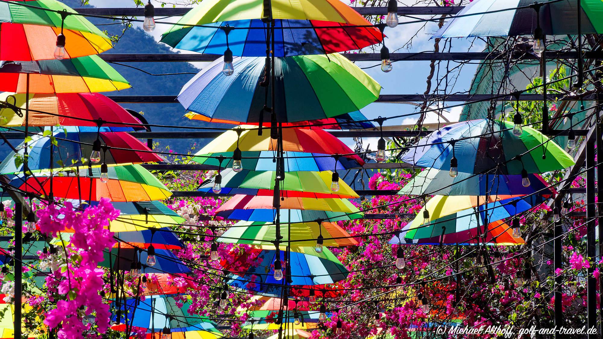 Puerto Plata Umbrella Street MZ6 _6057_DxO
