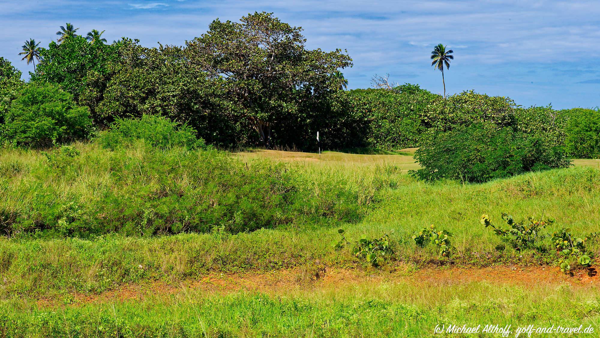 Royal Isabela Bahn 10-18 MZ6 _5351_DxO
