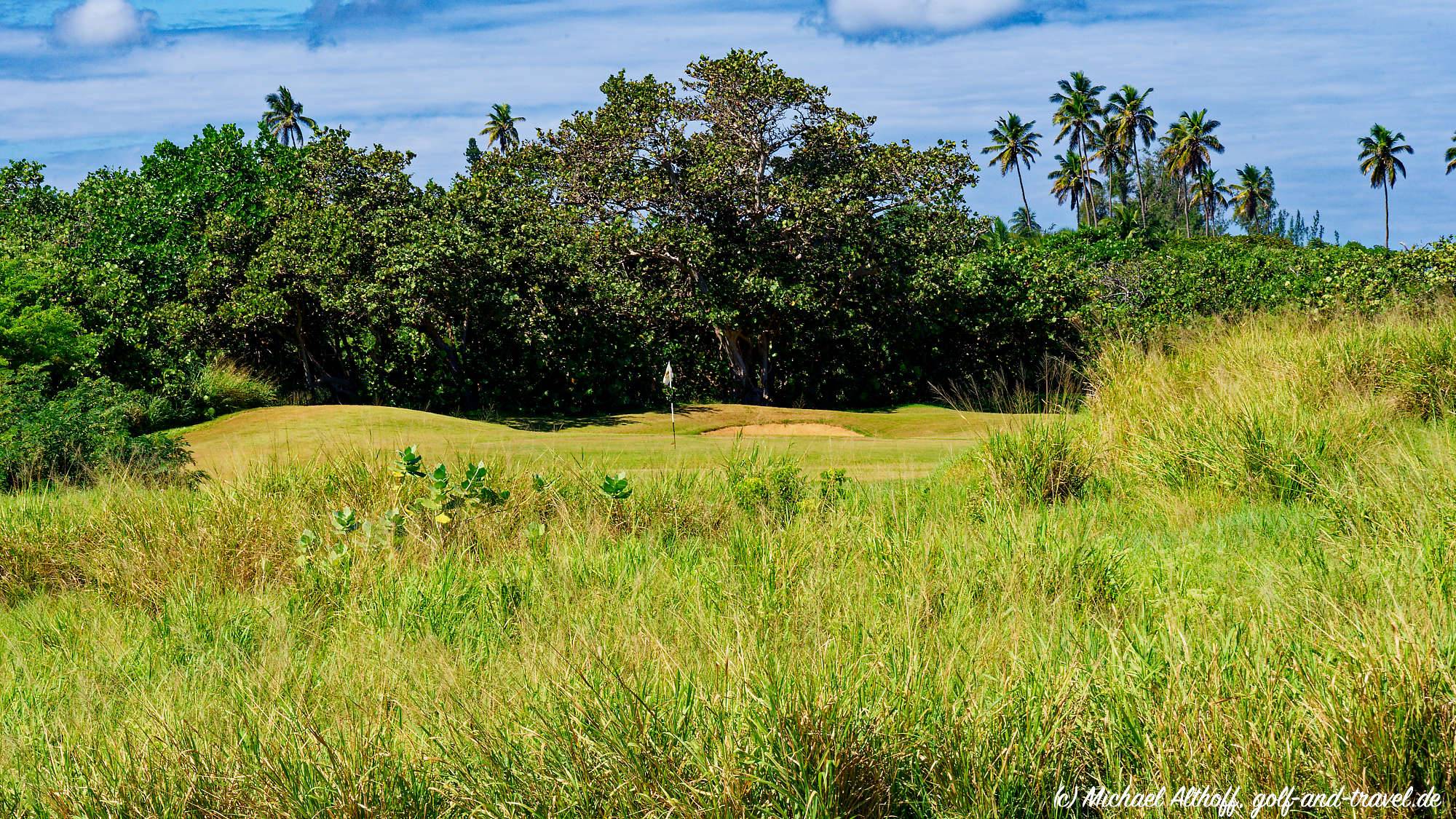 Royal Isabela Bahn 10-18 MZ6 _5354_DxO