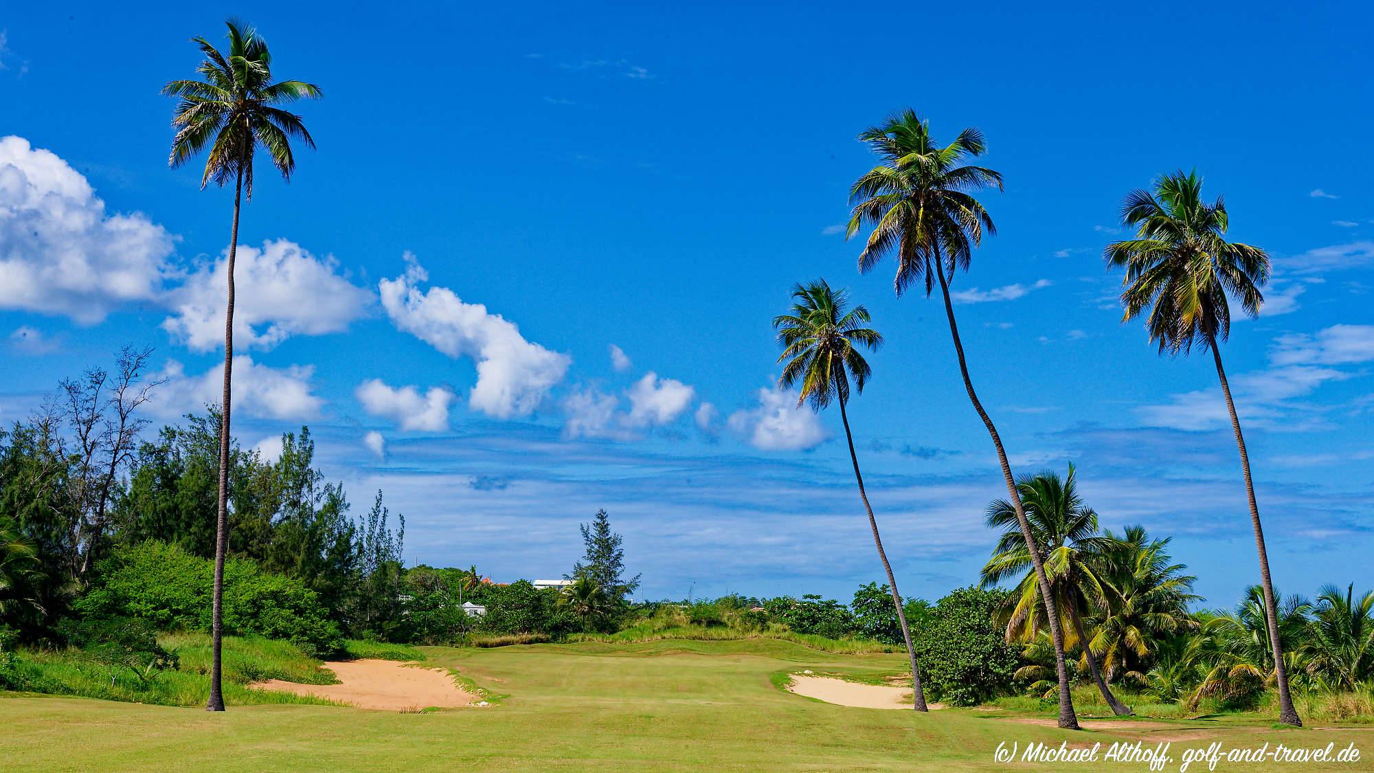 Royal Isabela Bahn 10-18 MZ6 _5369_DxO