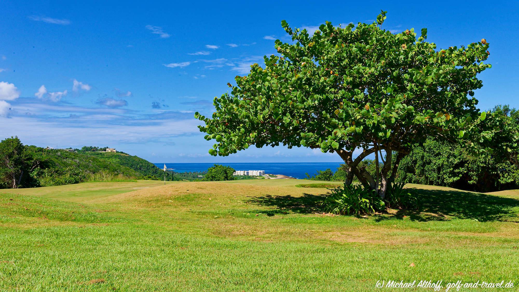 Royal Isabela Bahn 10-18 MZ6 _5374_DxO