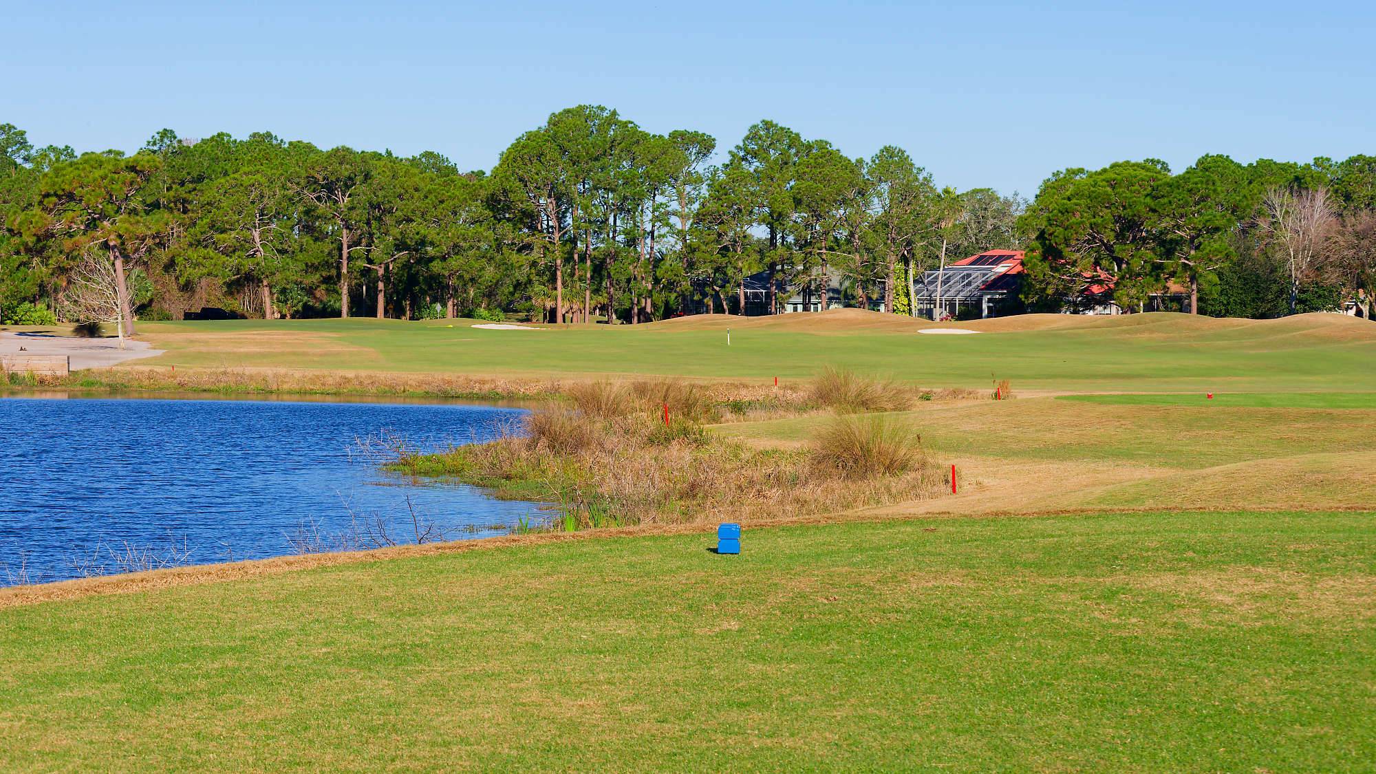 Cypress Head Bahn 1-9 MZ6 _8003_DxO