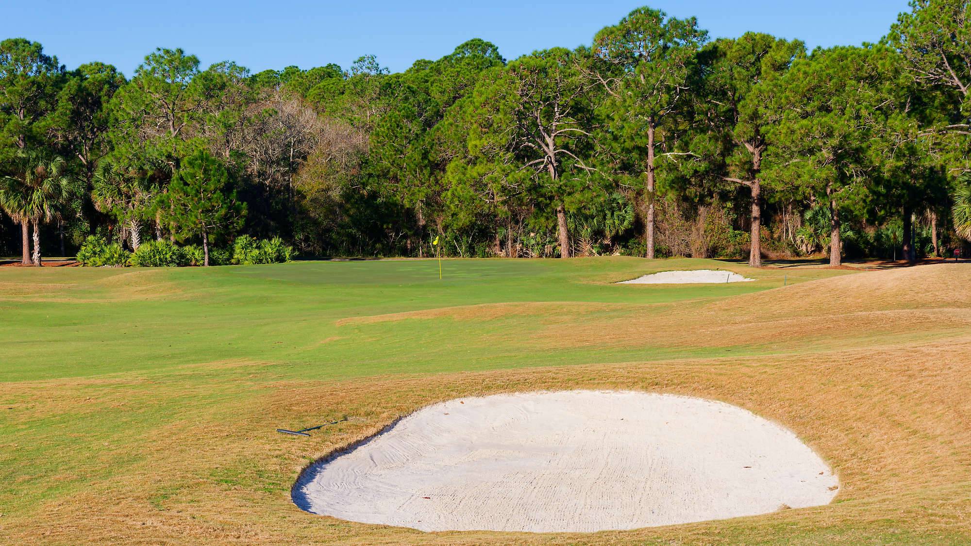 Cypress Head Bahn 1-9 MZ6 _8005_DxO