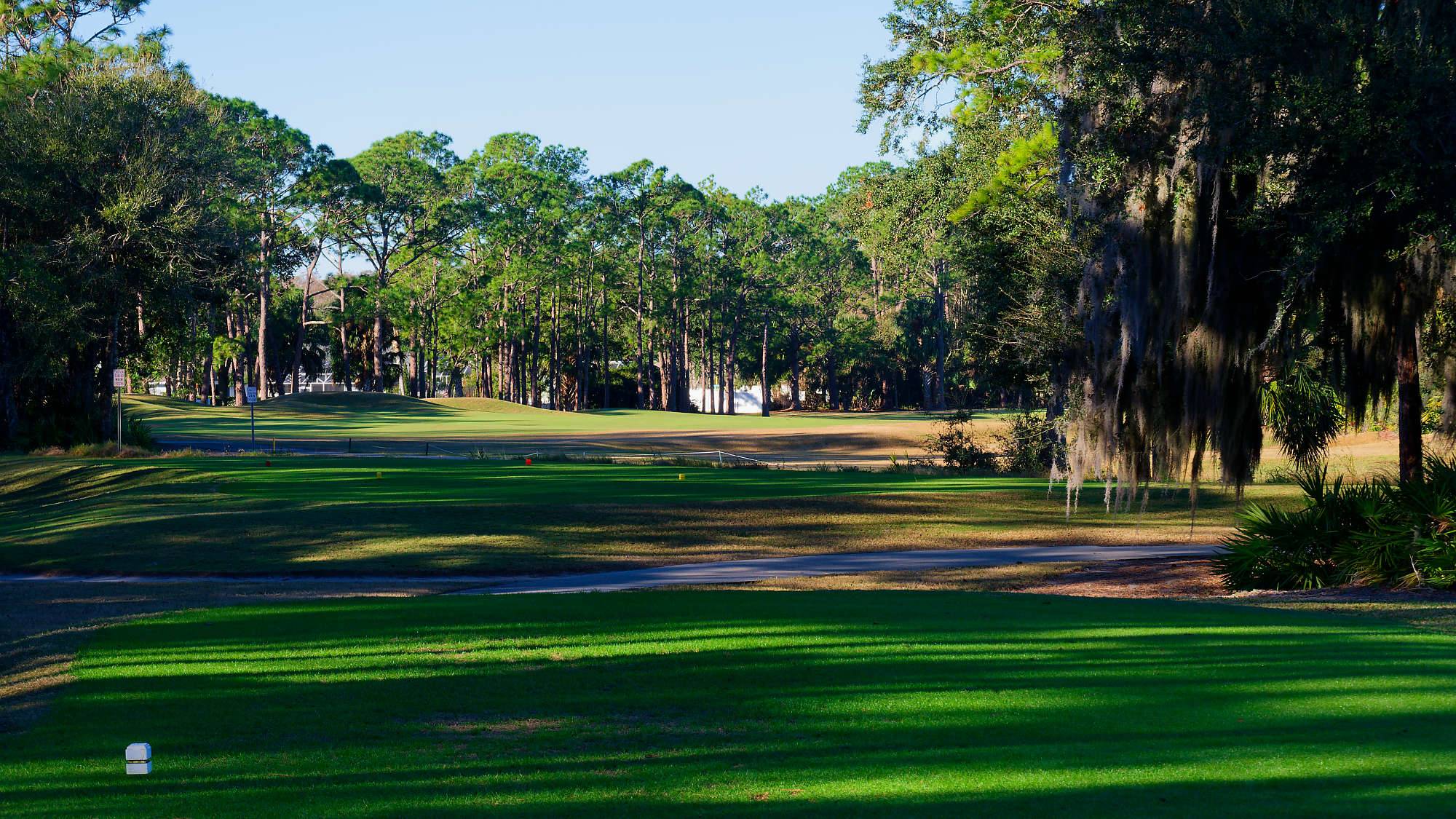 Cypress Head Bahn 1-9 MZ6 _8009_DxO