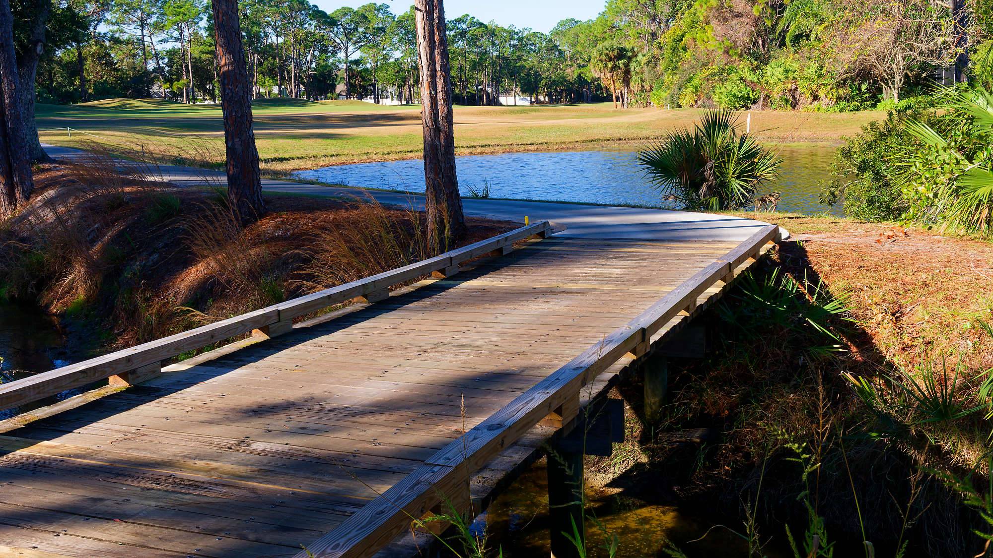Cypress Head Bahn 1-9 MZ6 _8012_DxO
