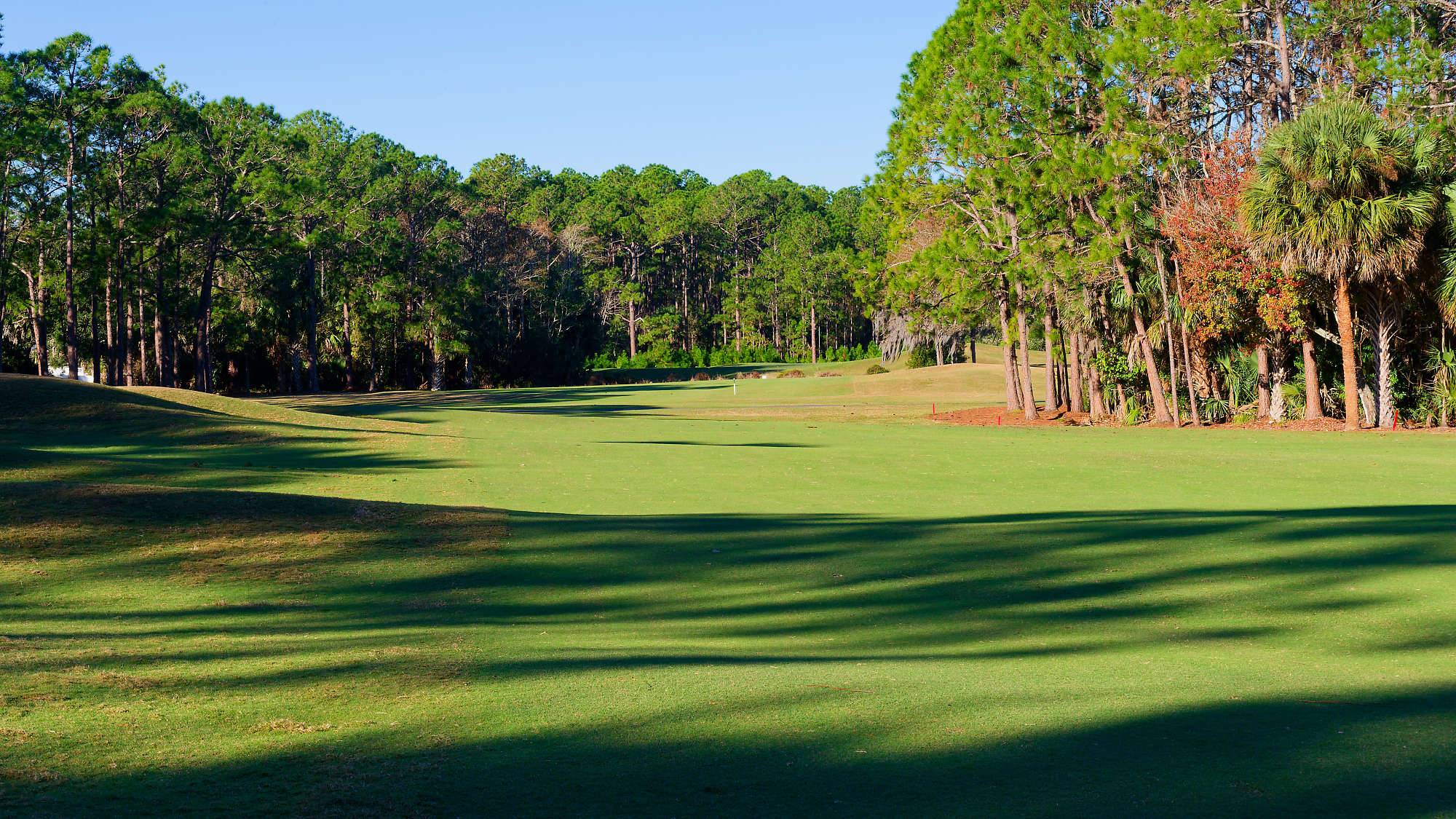 Cypress Head Bahn 1-9 MZ6 _8013_DxO