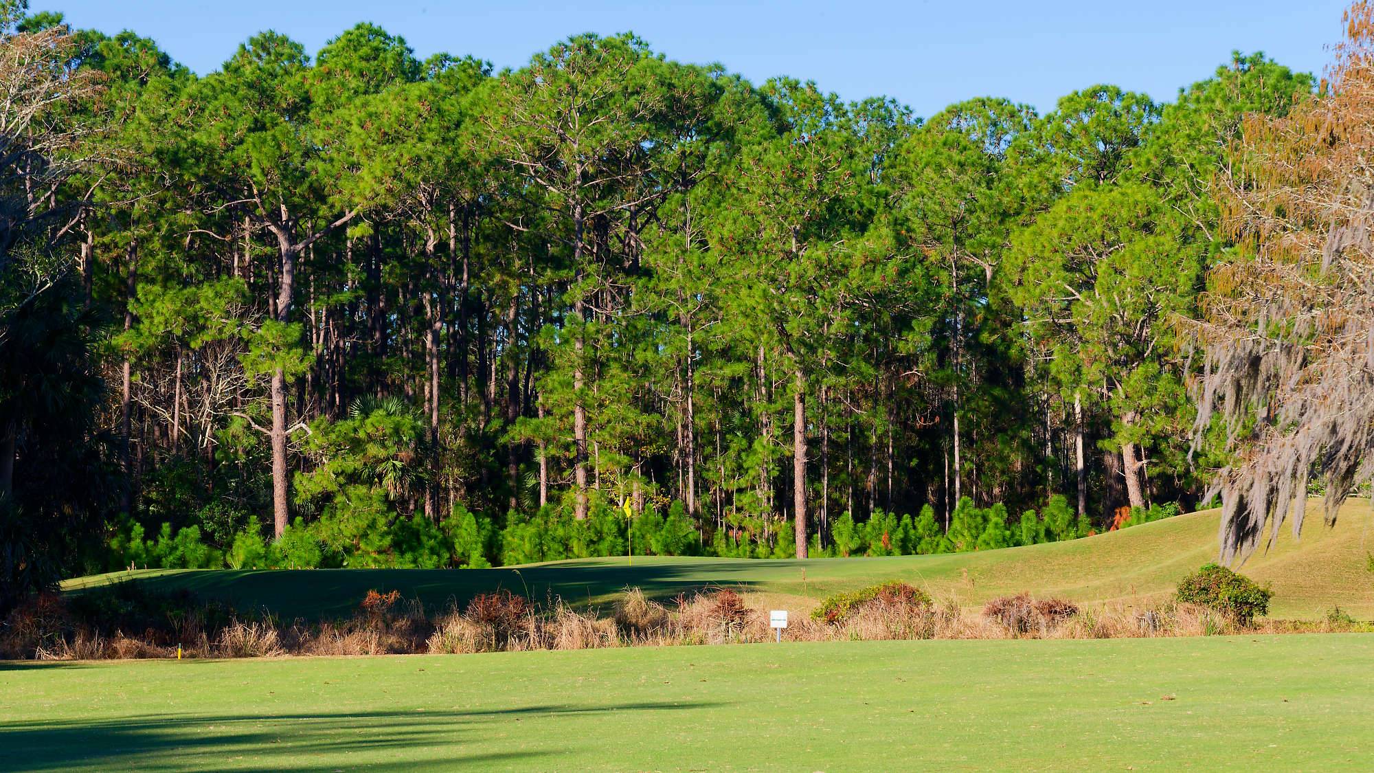 Cypress Head Bahn 1-9 MZ6 _8016_DxO