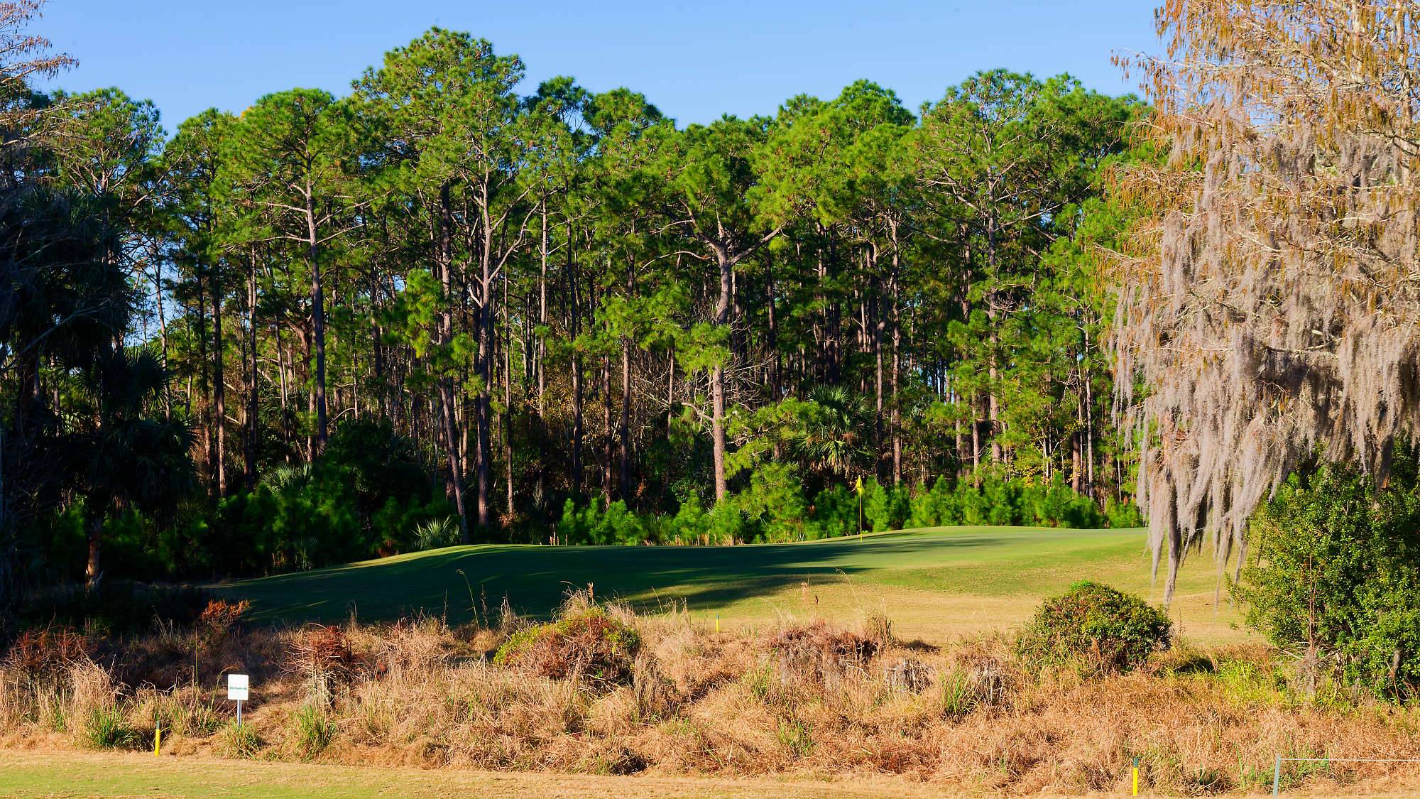 Cypress Head Bahn 1-9 MZ6 _8017_DxO