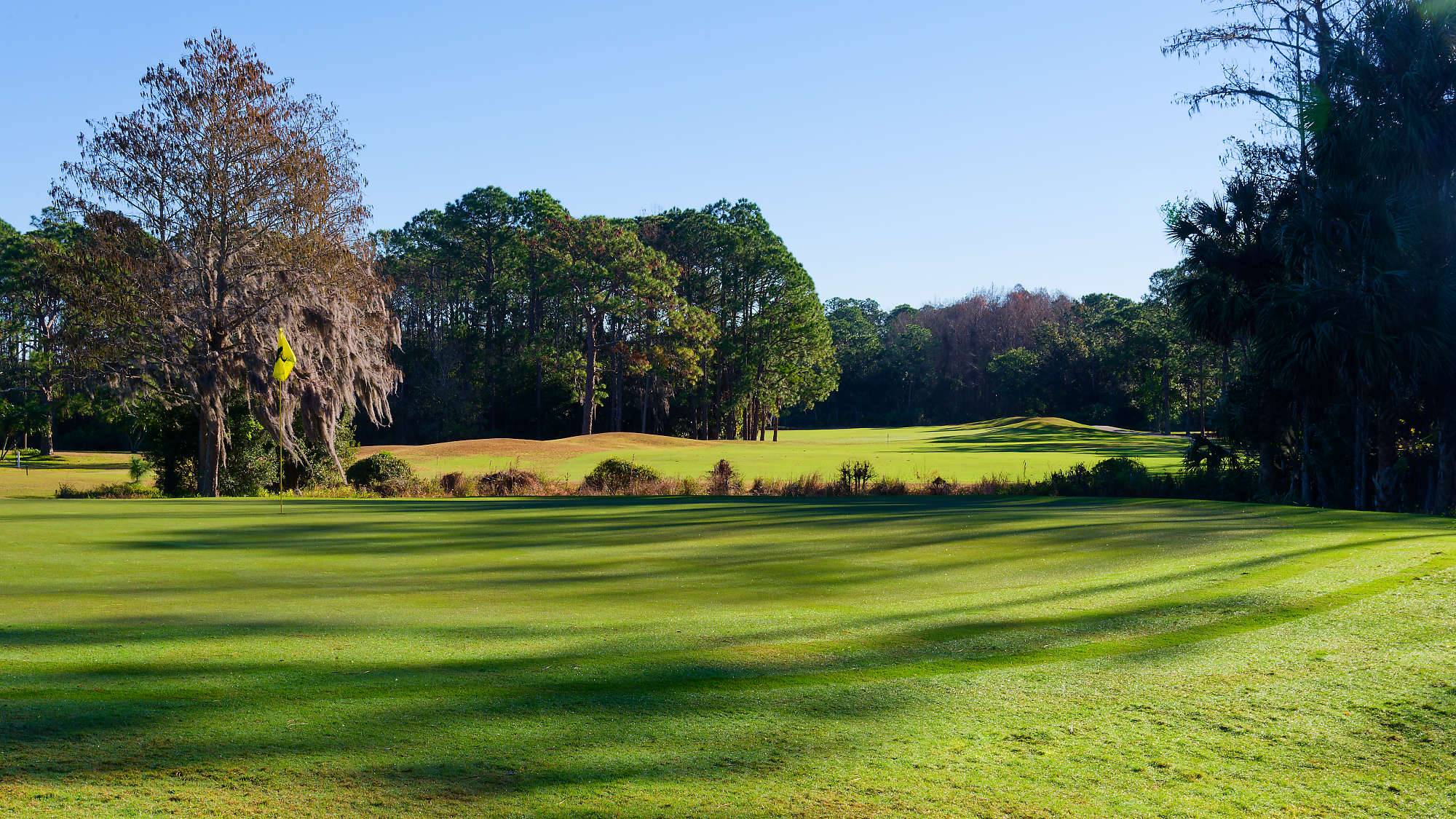 Cypress Head Bahn 1-9 MZ6 _8019_DxO