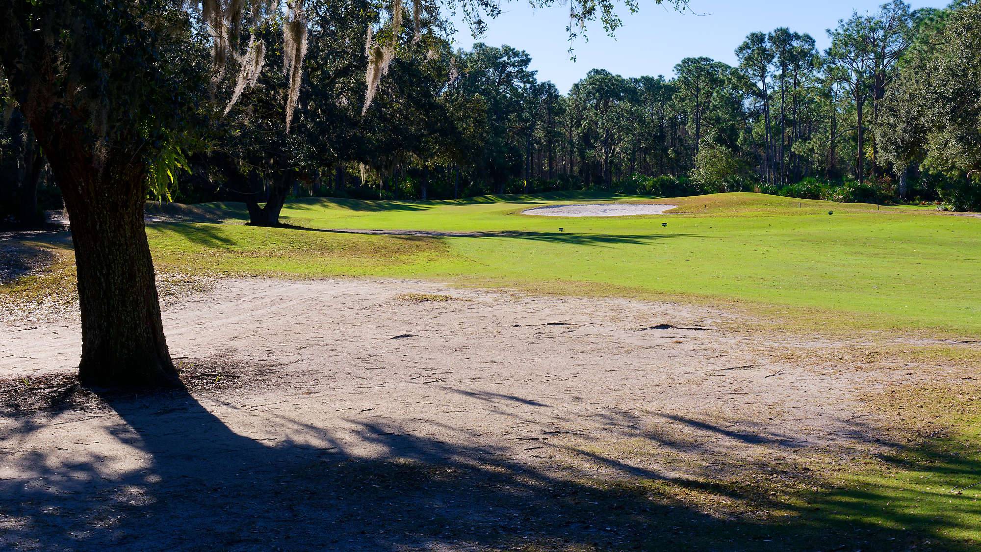 Cypress Head Bahn 1-9 MZ6 _8047_DxO