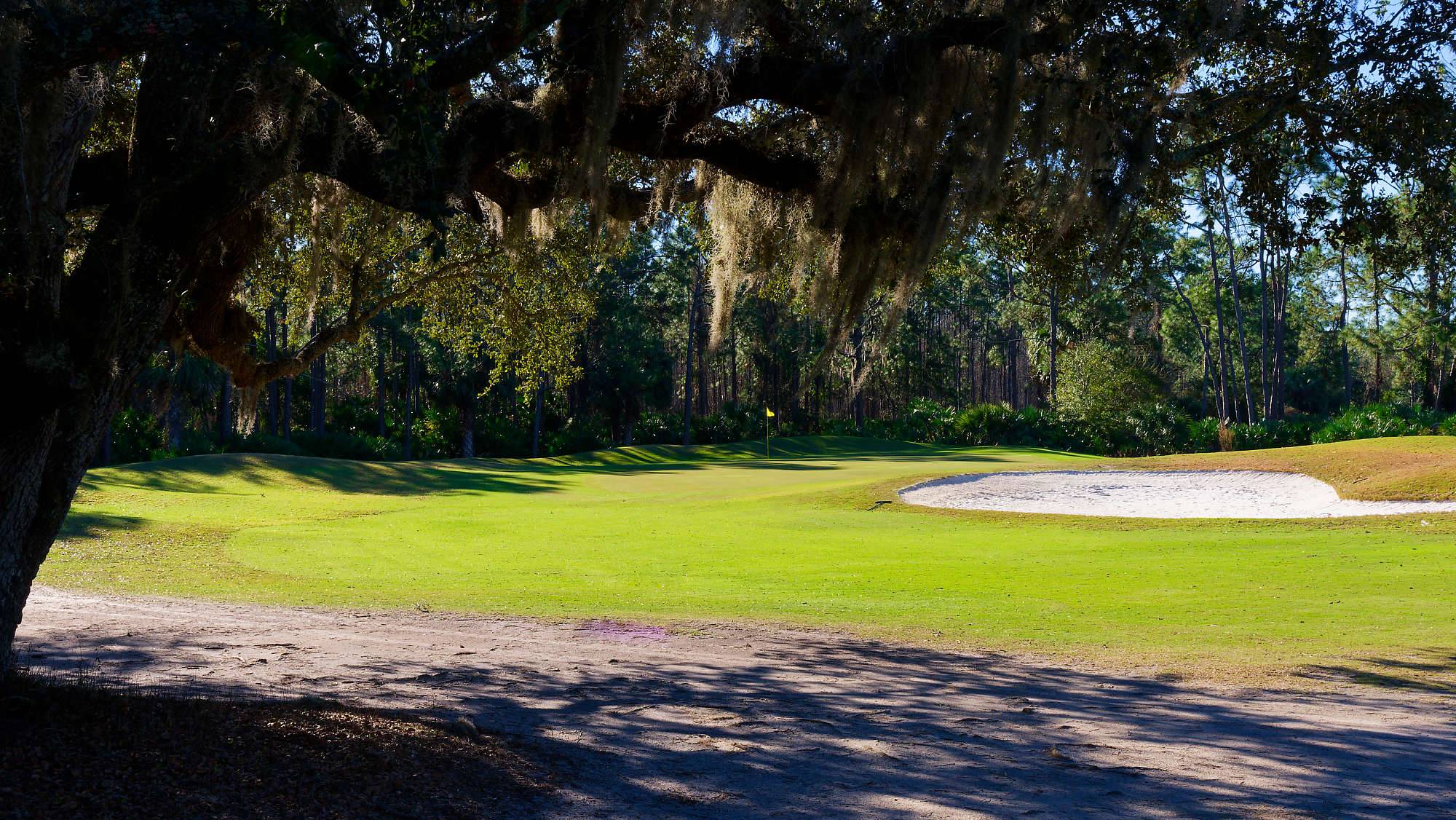 Cypress Head Bahn 1-9 MZ6 _8051_DxO