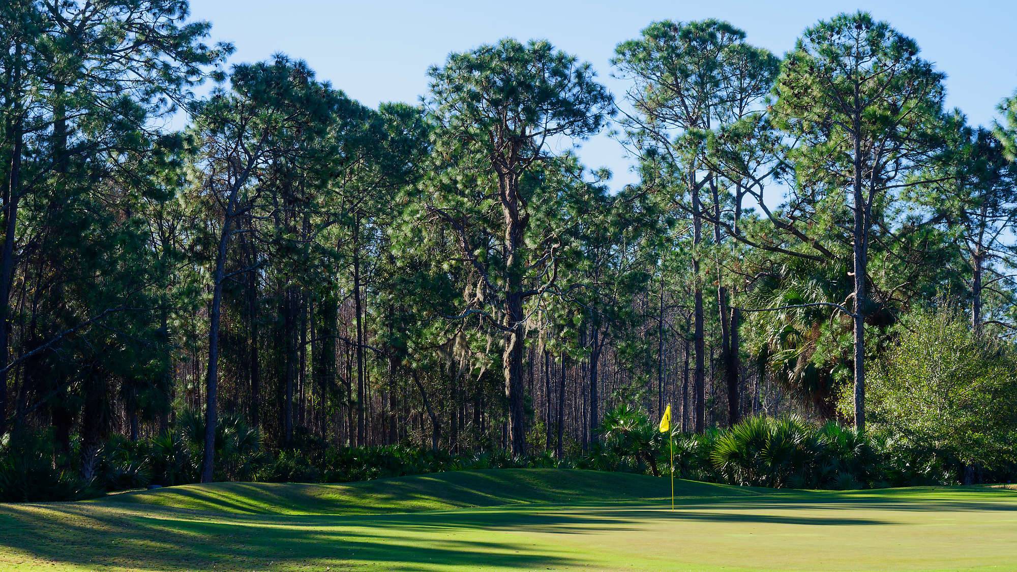 Cypress Head Bahn 1-9 MZ6 _8054_DxO