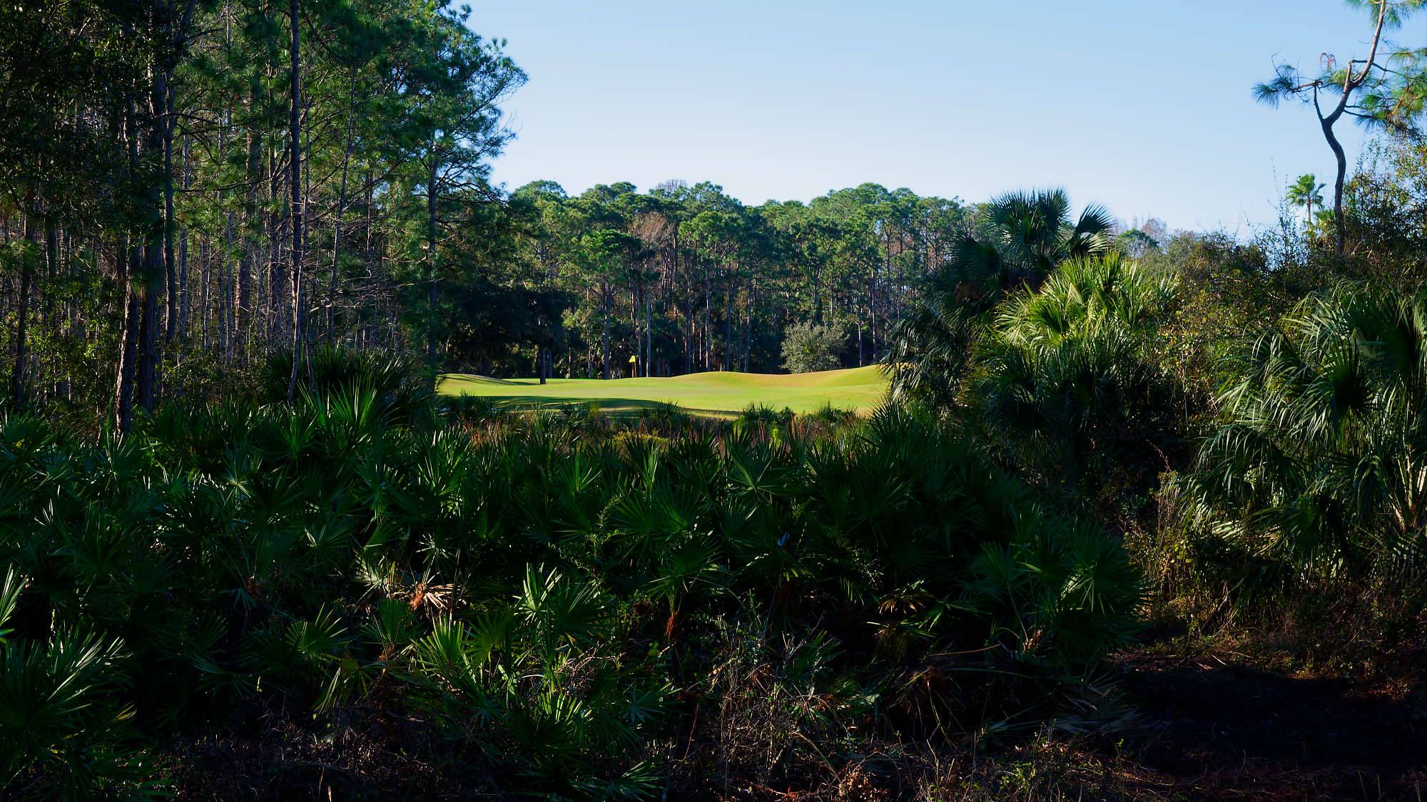 Cypress Head Bahn 1-9 MZ6 _8056_DxO