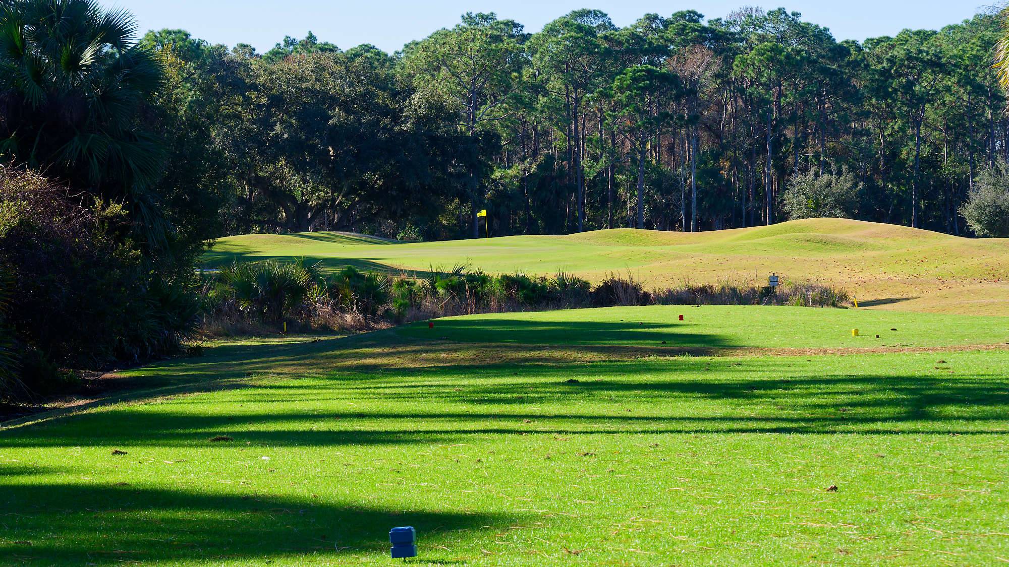 Cypress Head Bahn 1-9 MZ6 _8058_DxO
