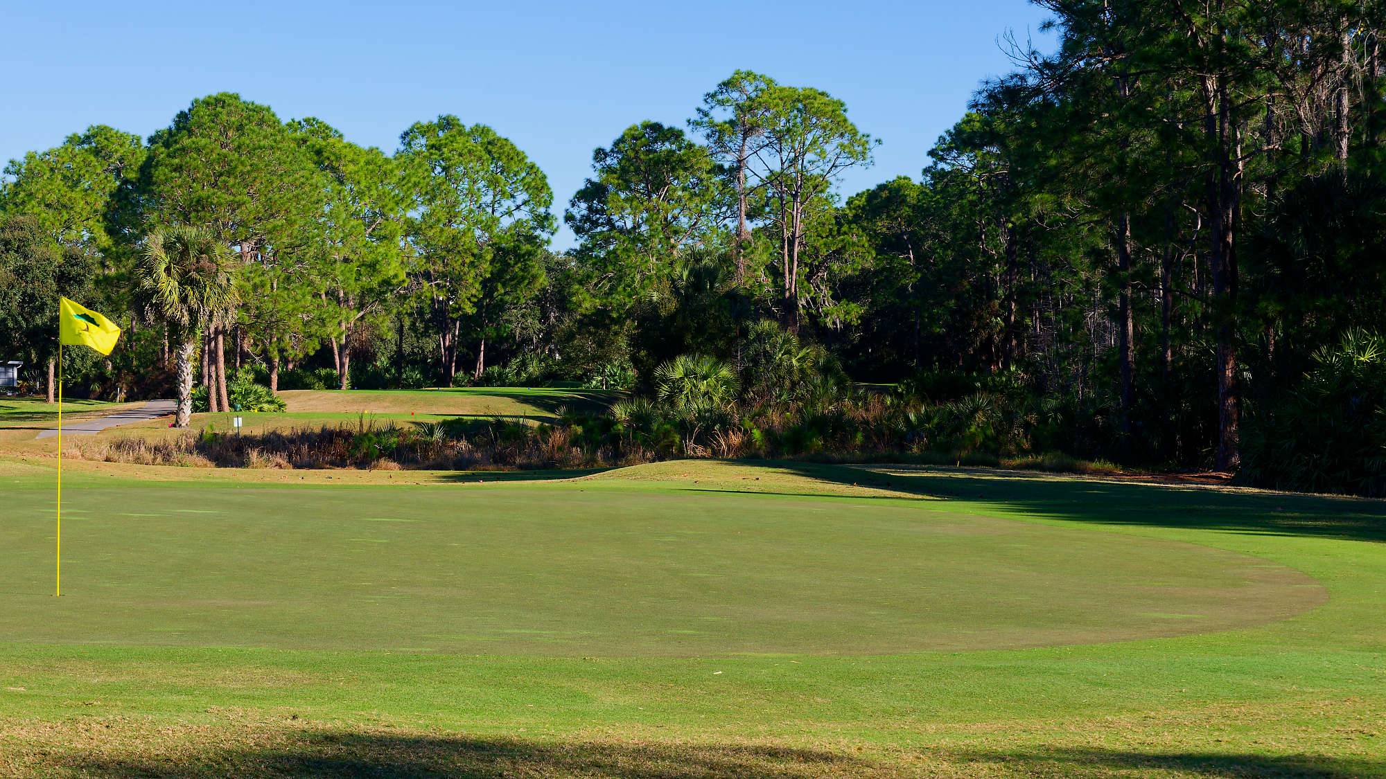 Cypress Head Bahn 1-9 MZ6 _8061_DxO