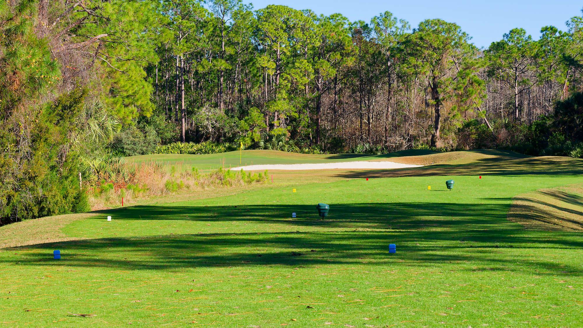 Cypress Head Bahn 1-9 MZ6 _8062_DxO