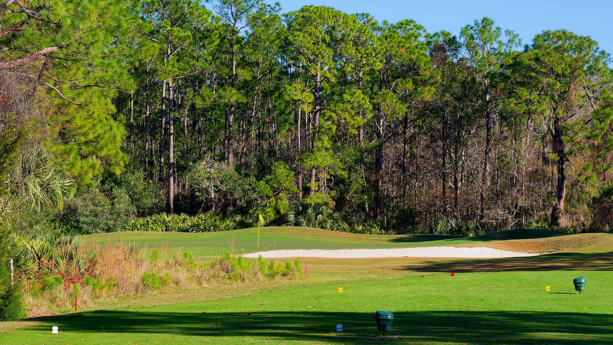Cypress Head Bahn 1-9 MZ6 _8064_DxO