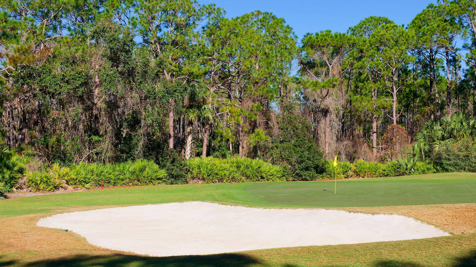 Cypress Head Bahn 1-9 MZ6 _8069_DxO