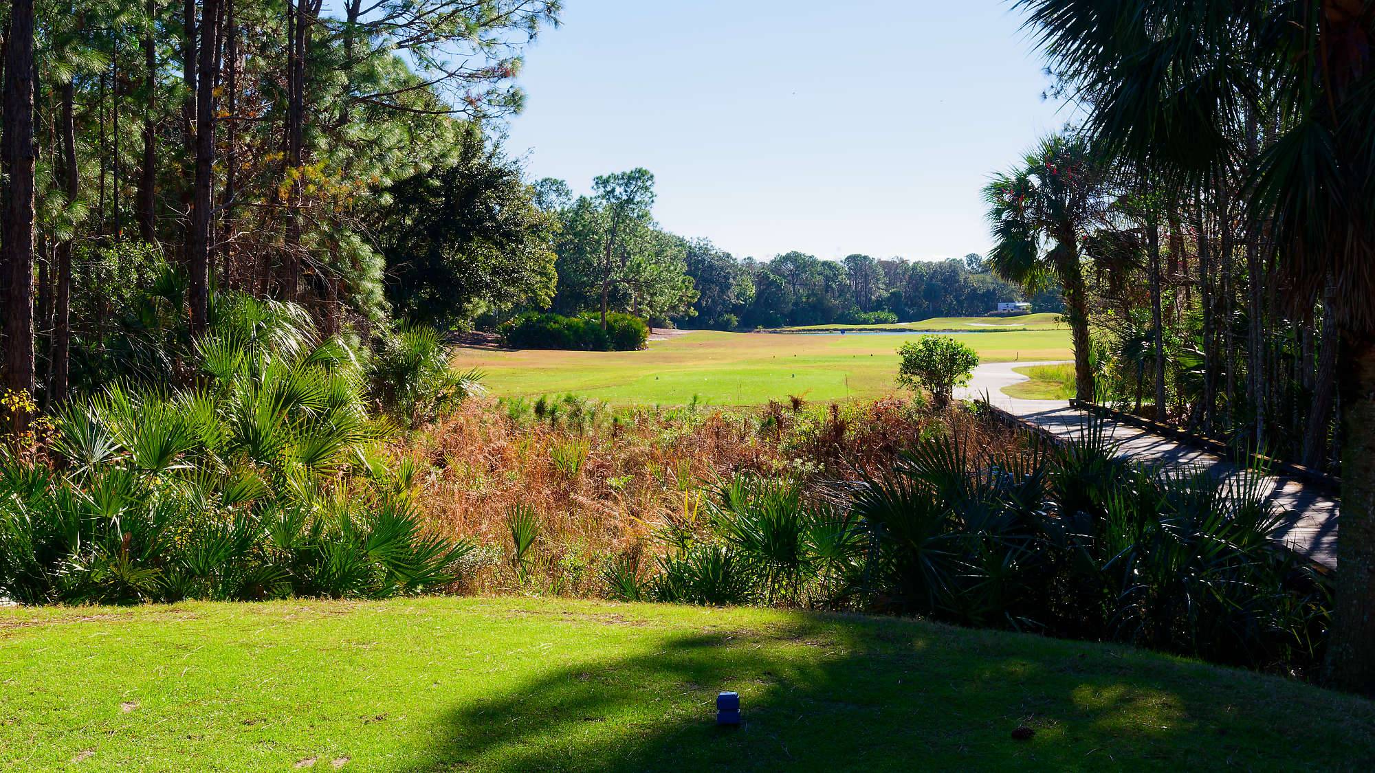 Cypress Head Bahn 1-9 MZ6 _8073_DxO