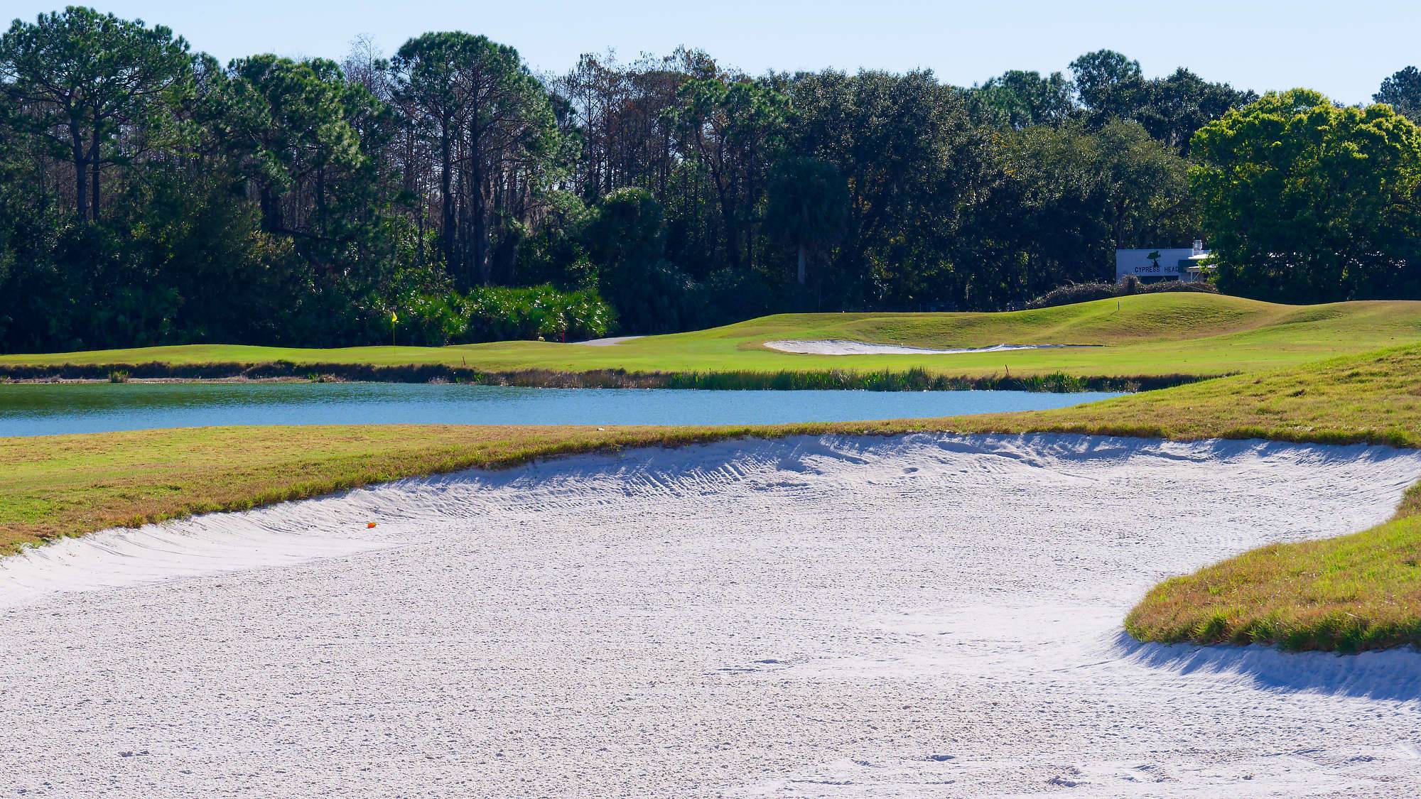Cypress Head Bahn 1-9 MZ6 _8074_DxO