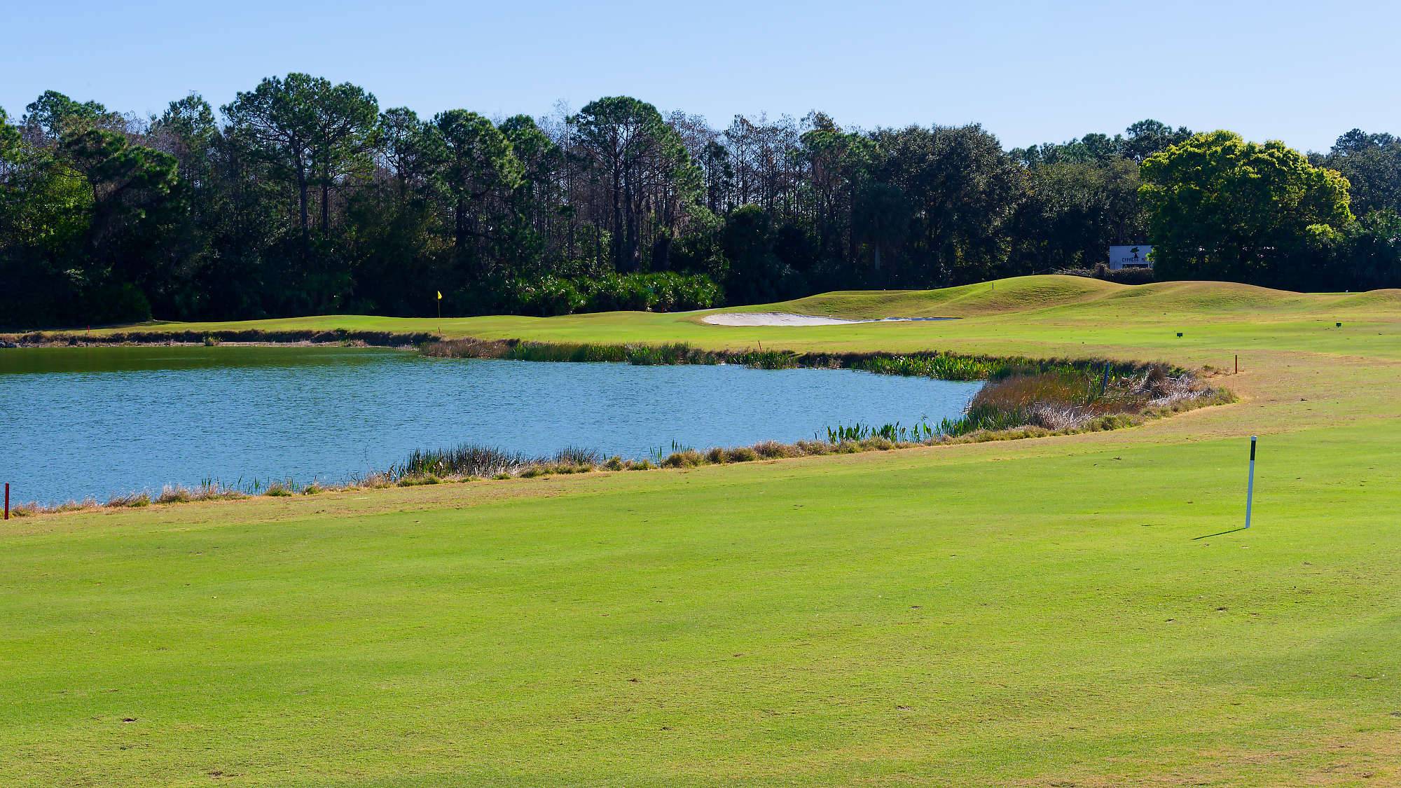 Cypress Head Bahn 1-9 MZ6 _8077_DxO