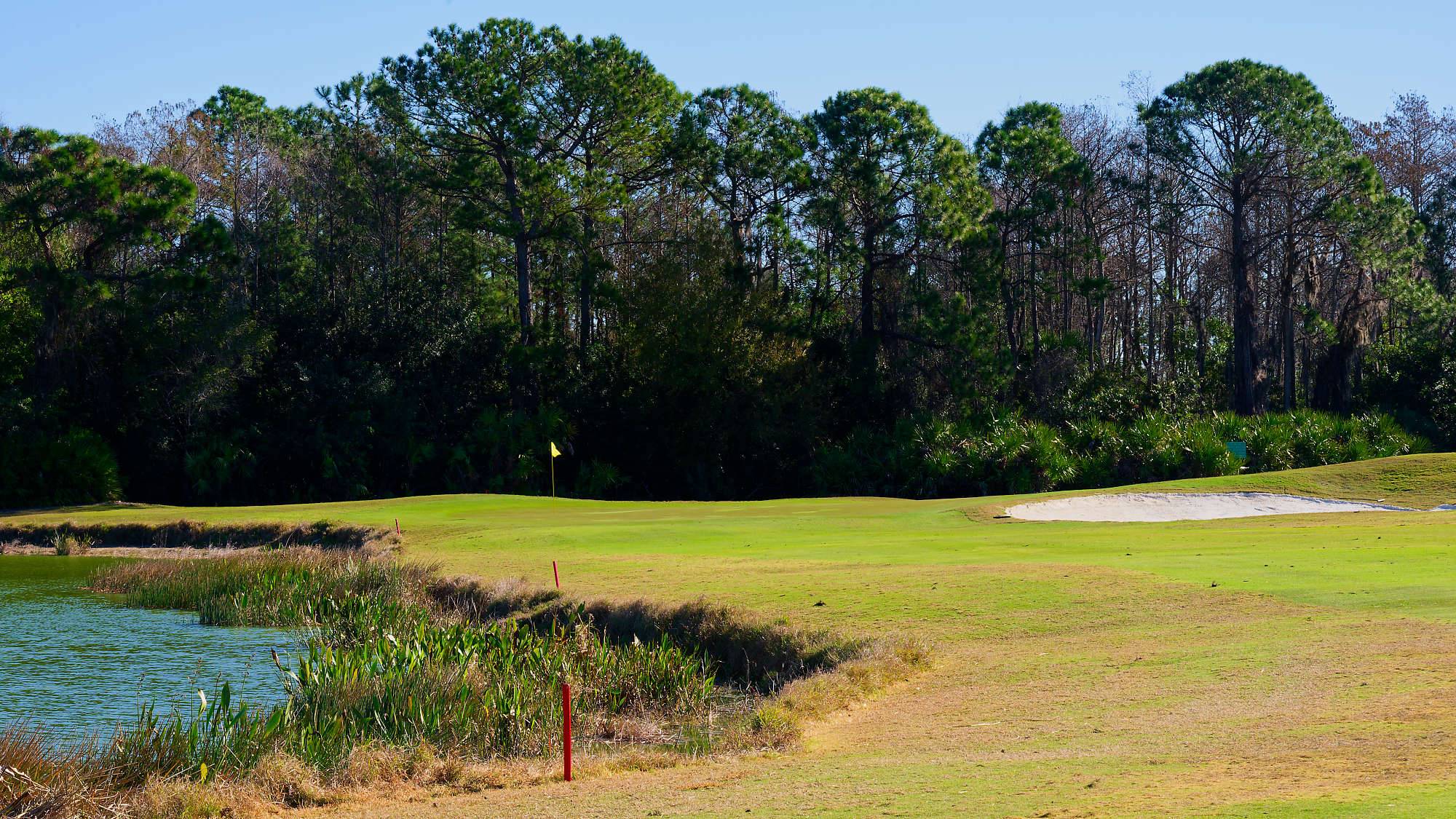 Cypress Head Bahn 1-9 MZ6 _8079_DxO