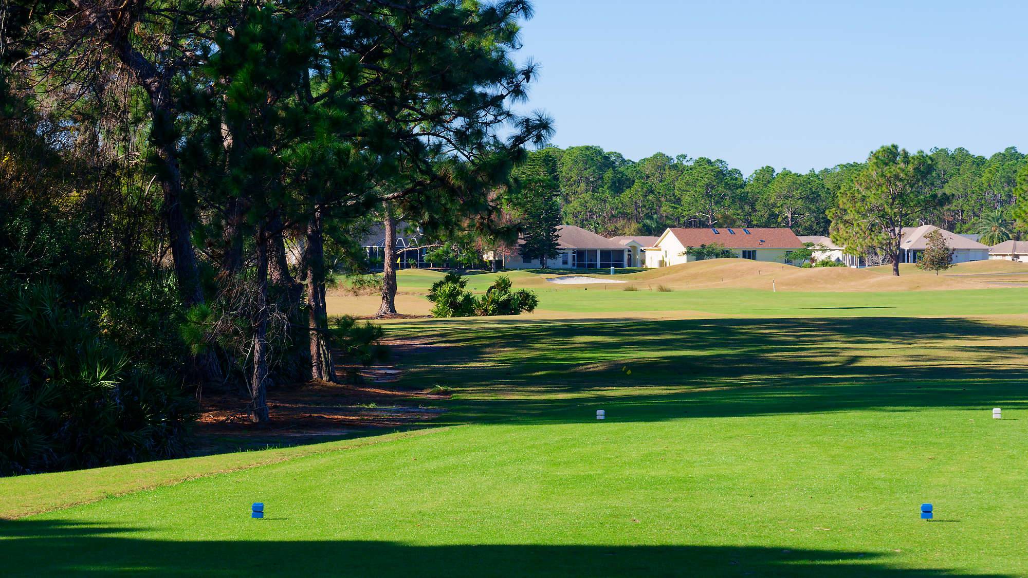 Cypress Head Bahn 1-9 MZ6 _8084_DxO