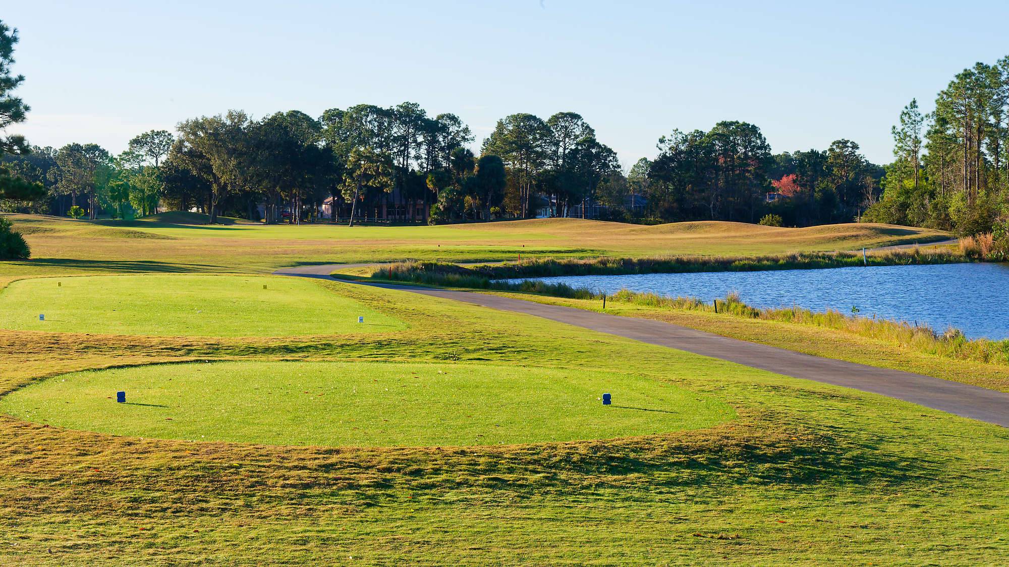 Cypress Head Bahn 10-18 MZ6 _7918_DxO